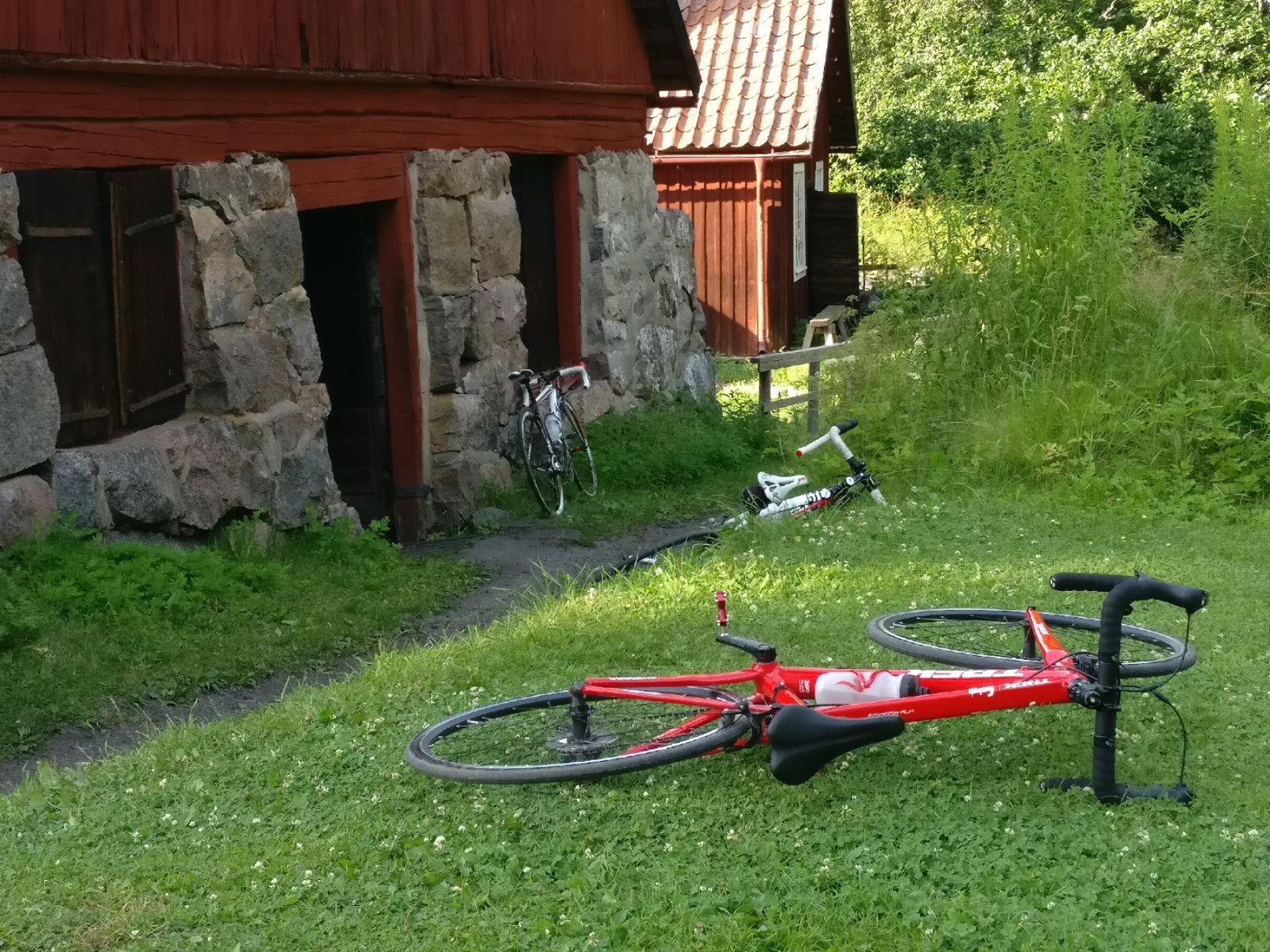 2020-07-19-19-56-04.jpg