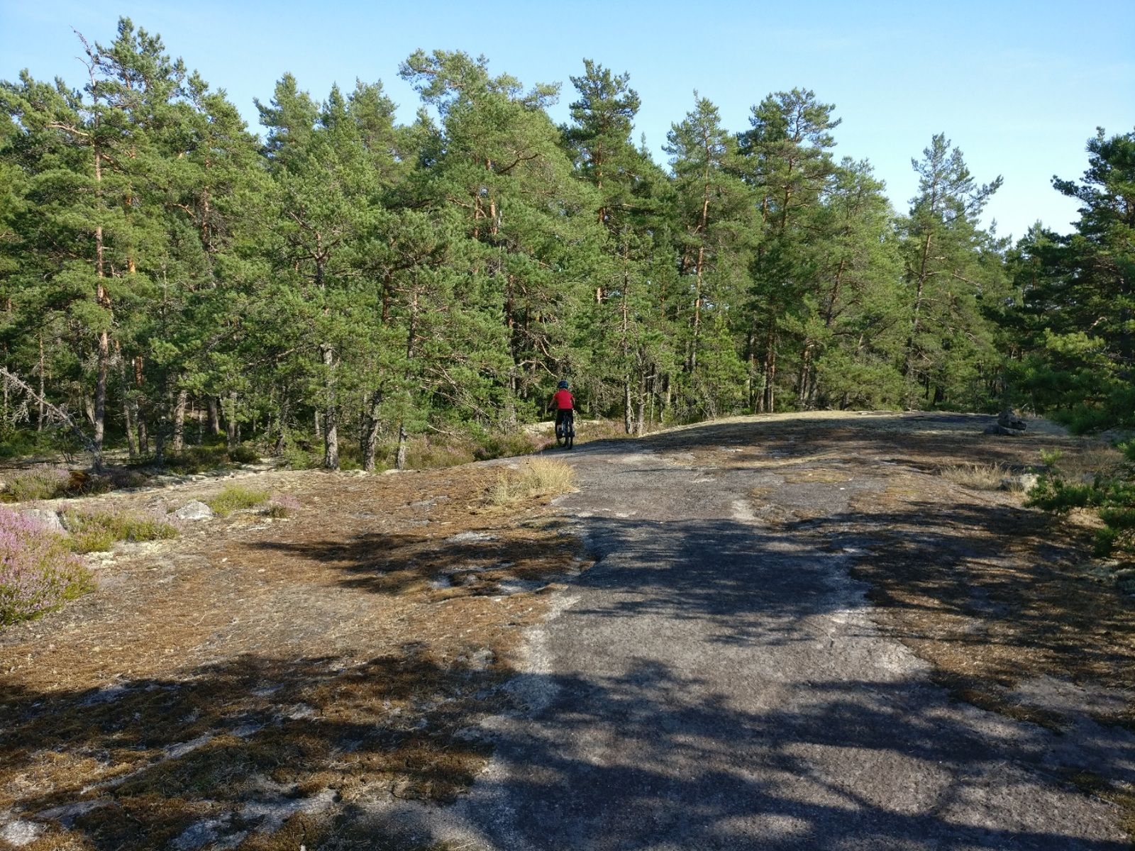 2020-08-09-19-11-27.jpg