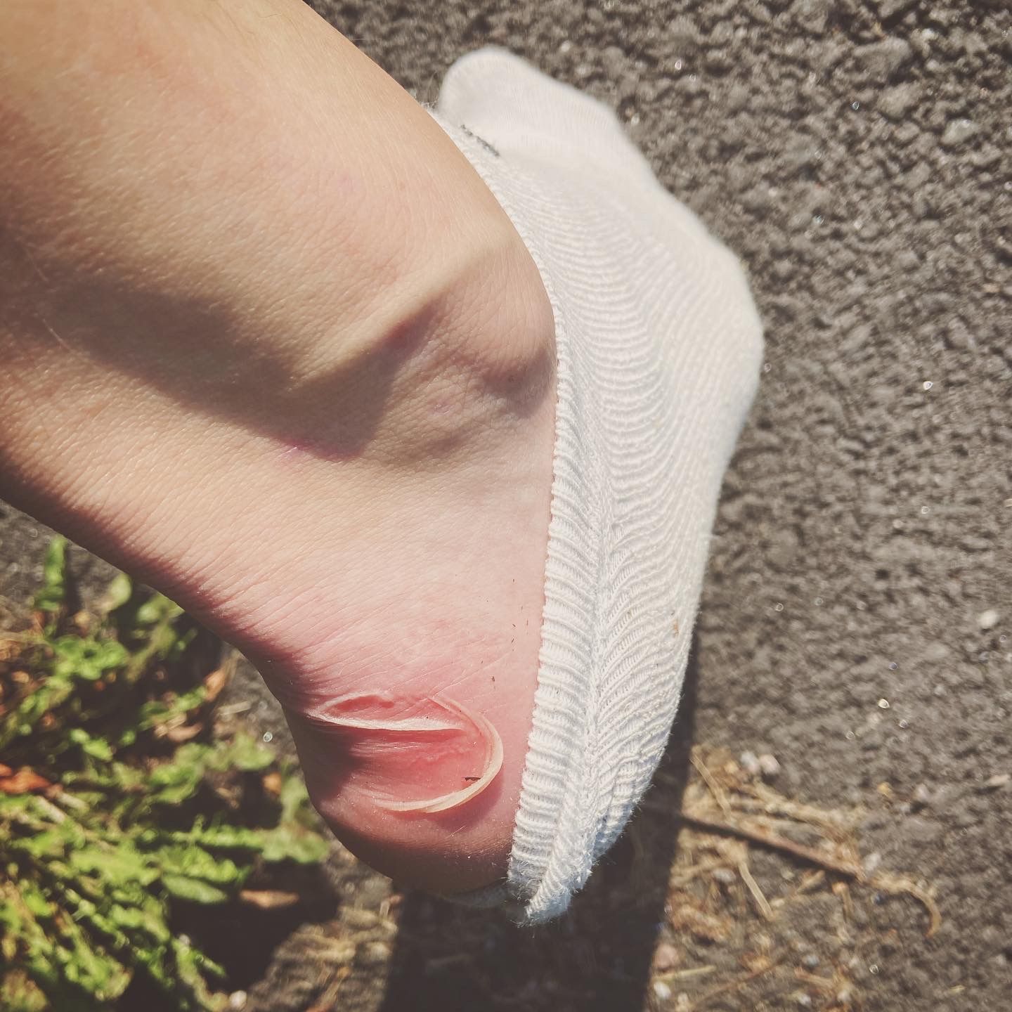 2020-09-10_1.JPG