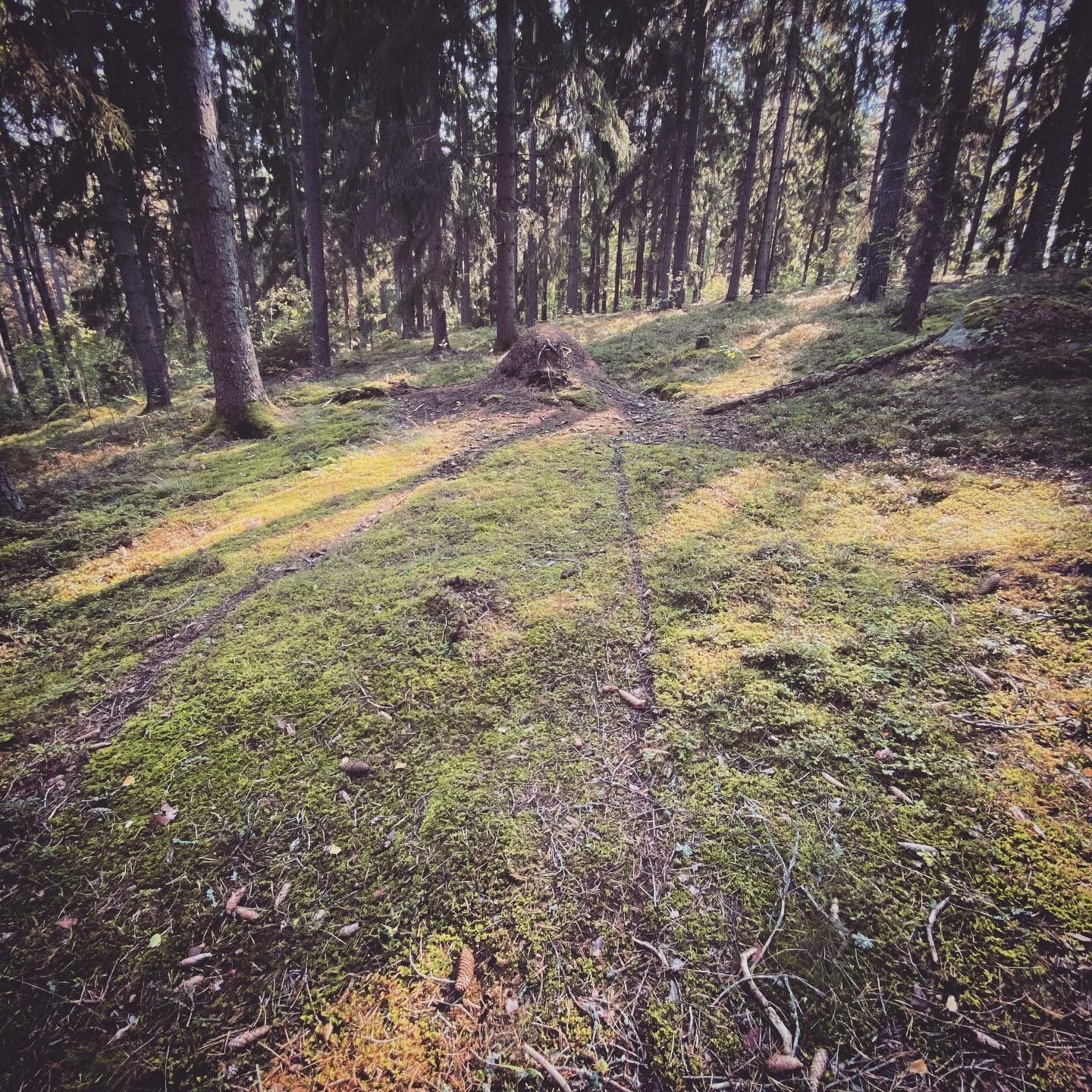 2020-09-10_2.JPG
