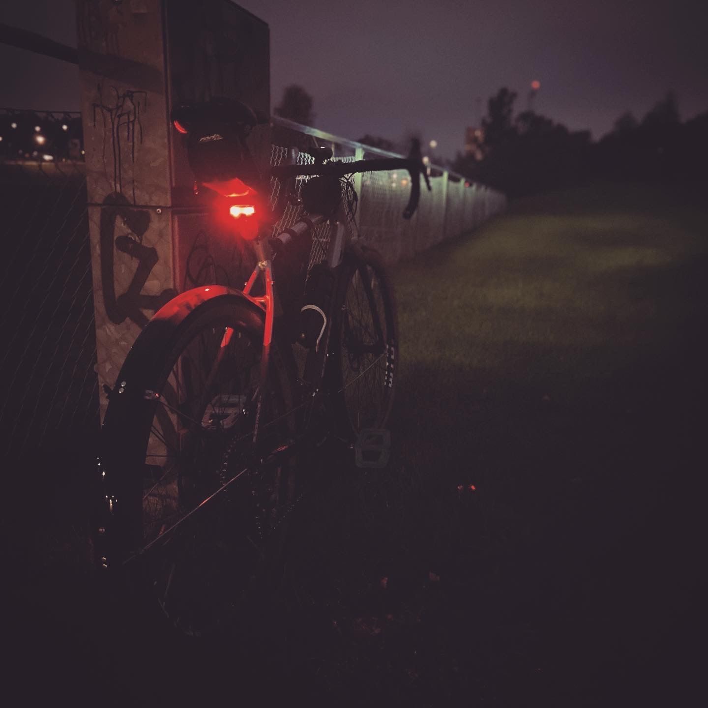 2020-09-28_1.JPG