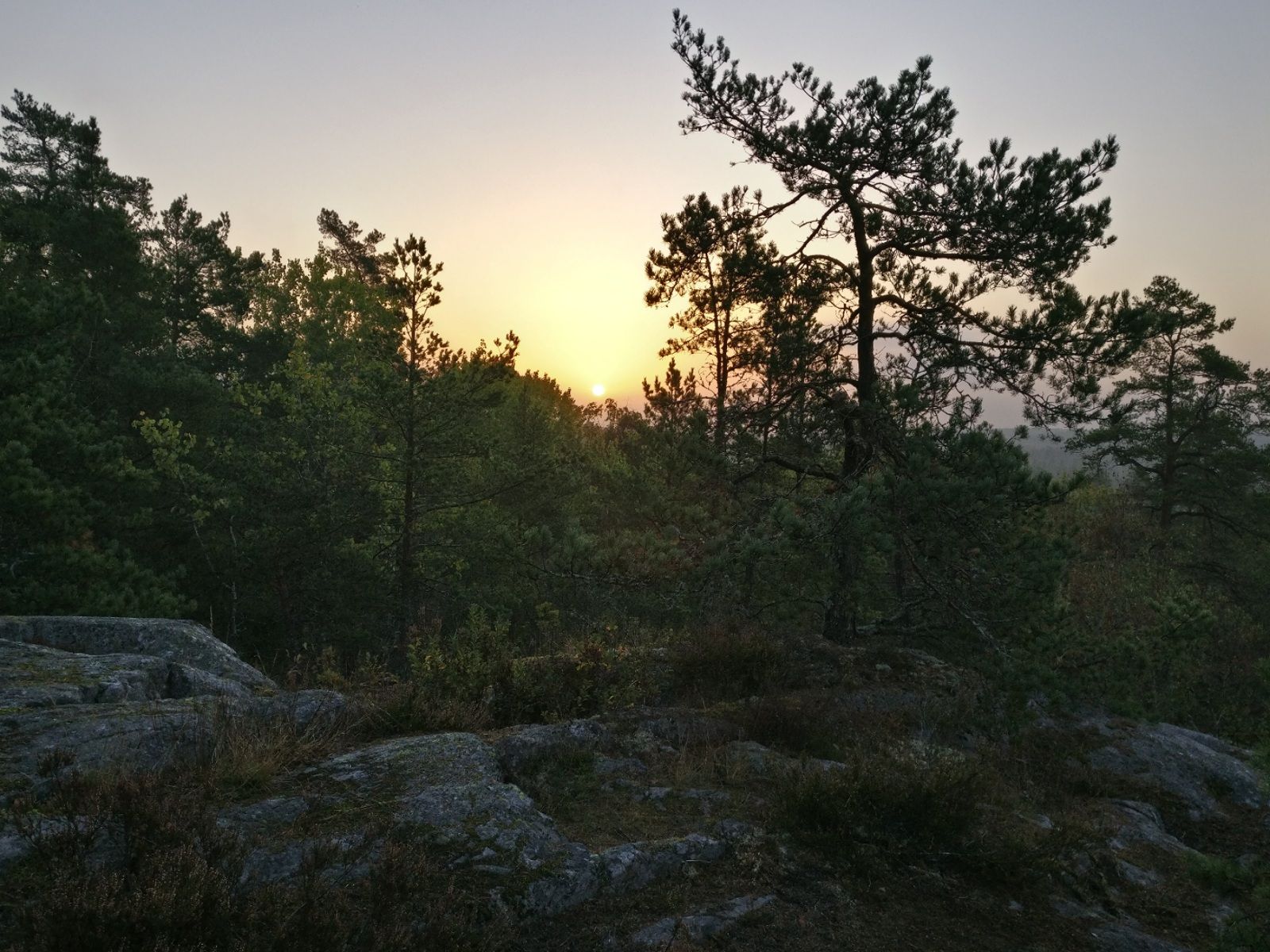 2020-10-02-07-33-57.jpg
