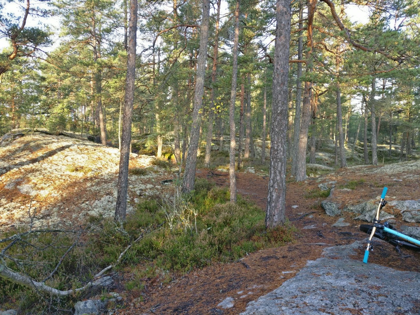 2020-10-08-11-02-56.jpg