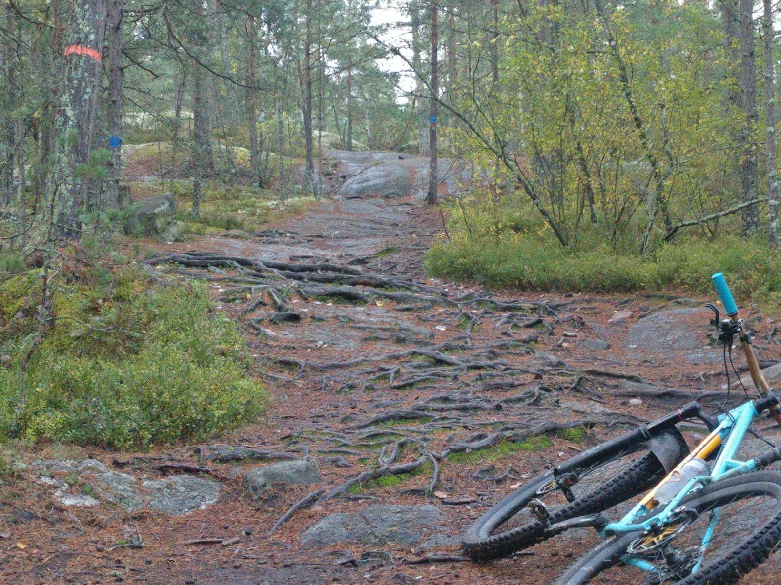 2020-10-09-12-53-54.jpg
