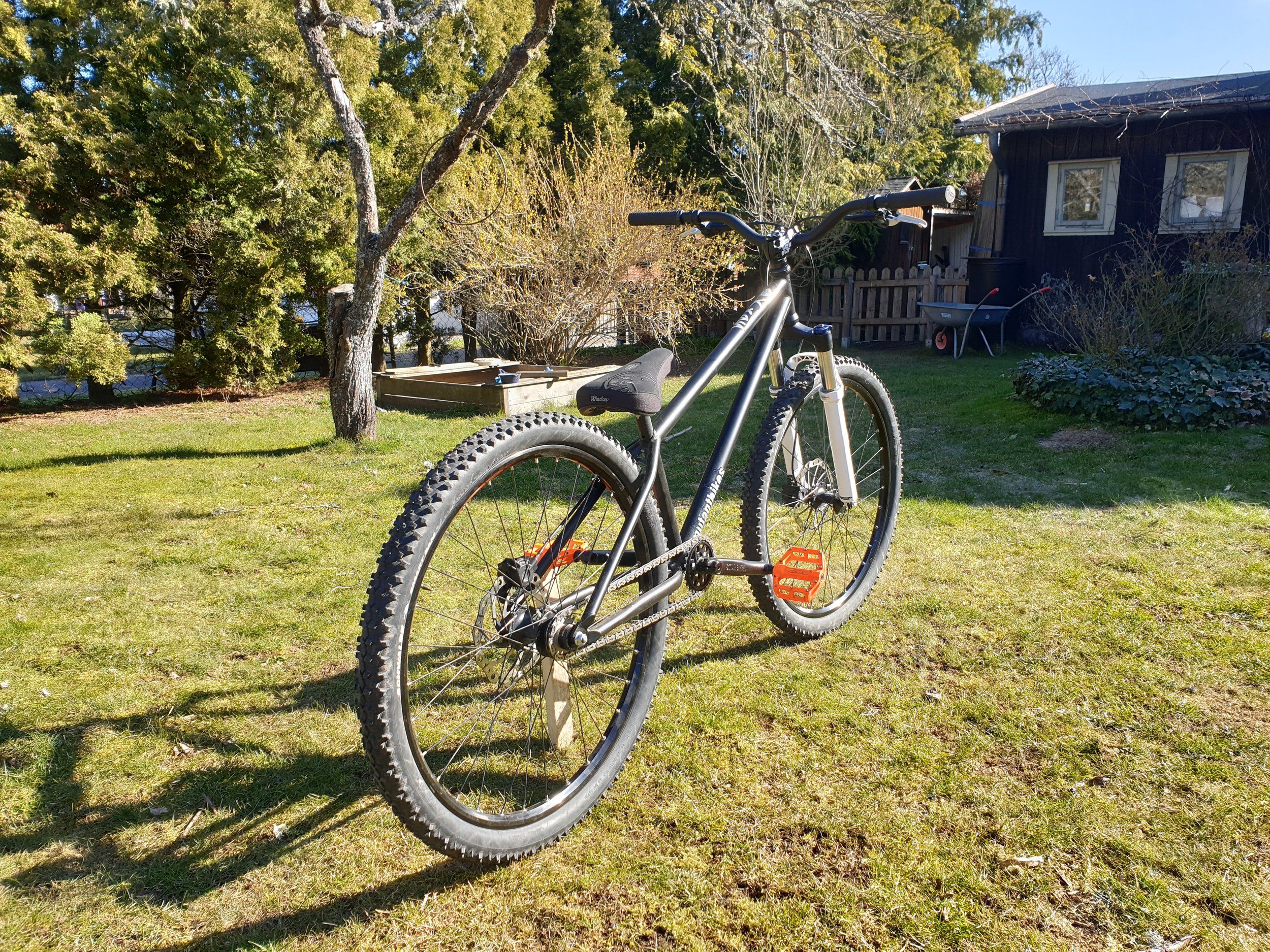 20200331_104024.jpg
