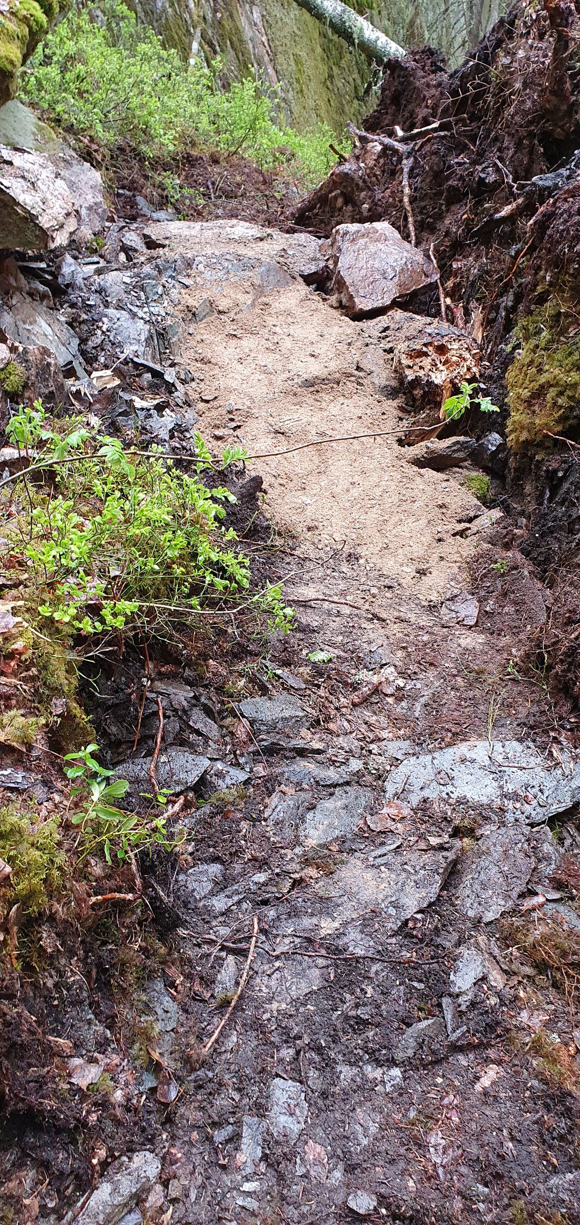 20200523_134155.jpg