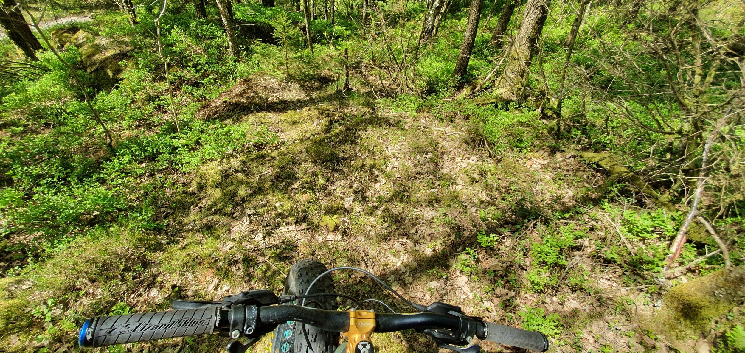 20200528_135622.jpg