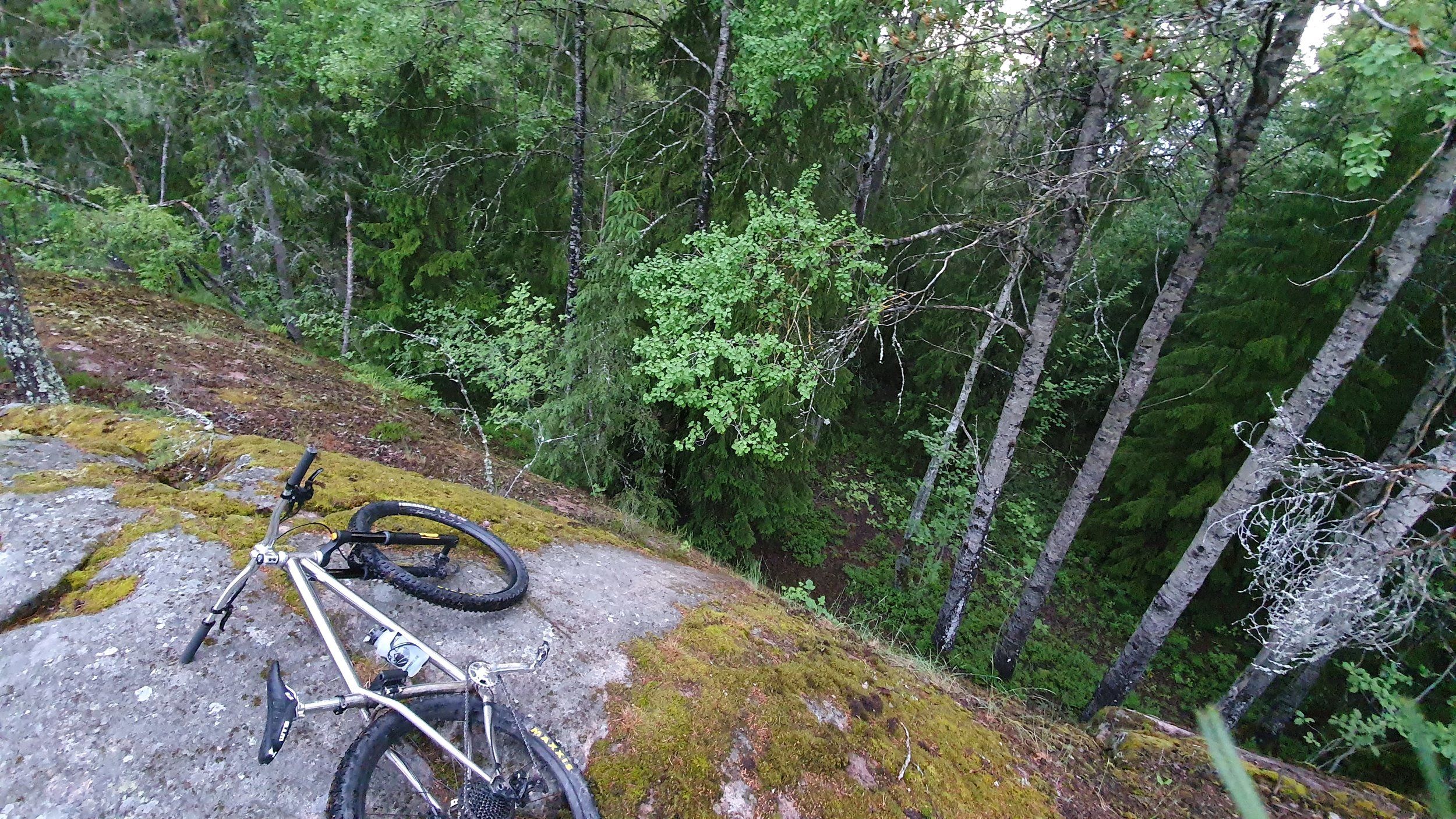 20200617_215845.jpg