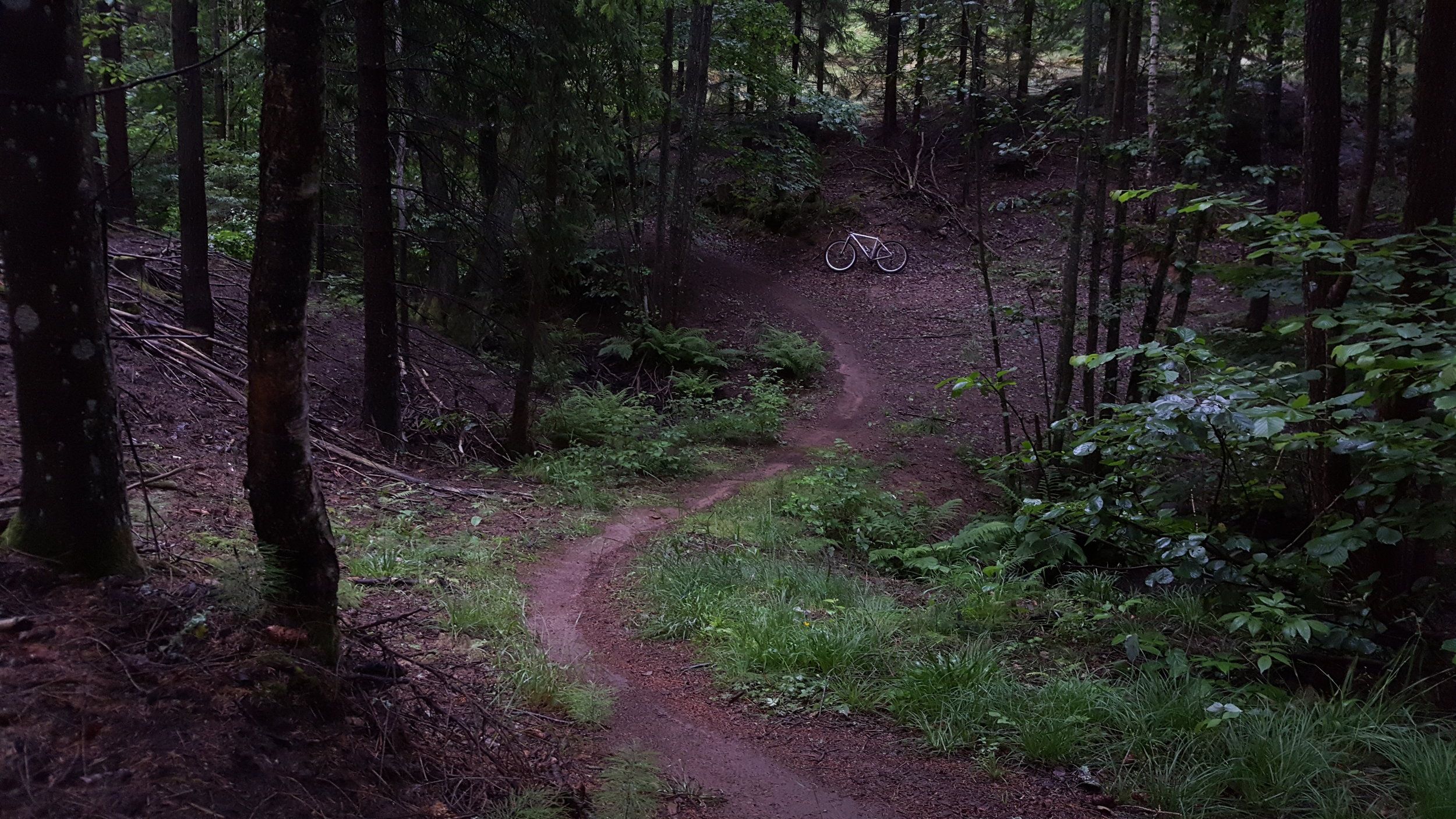 20200704_205155.jpg