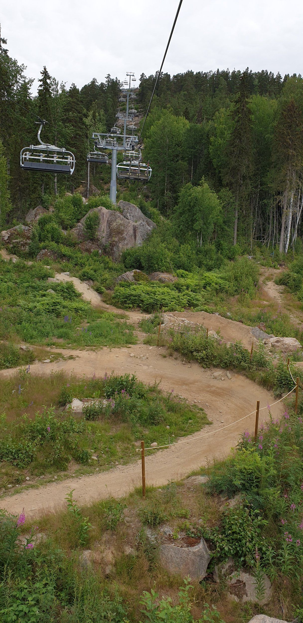 20200705_144152.jpg