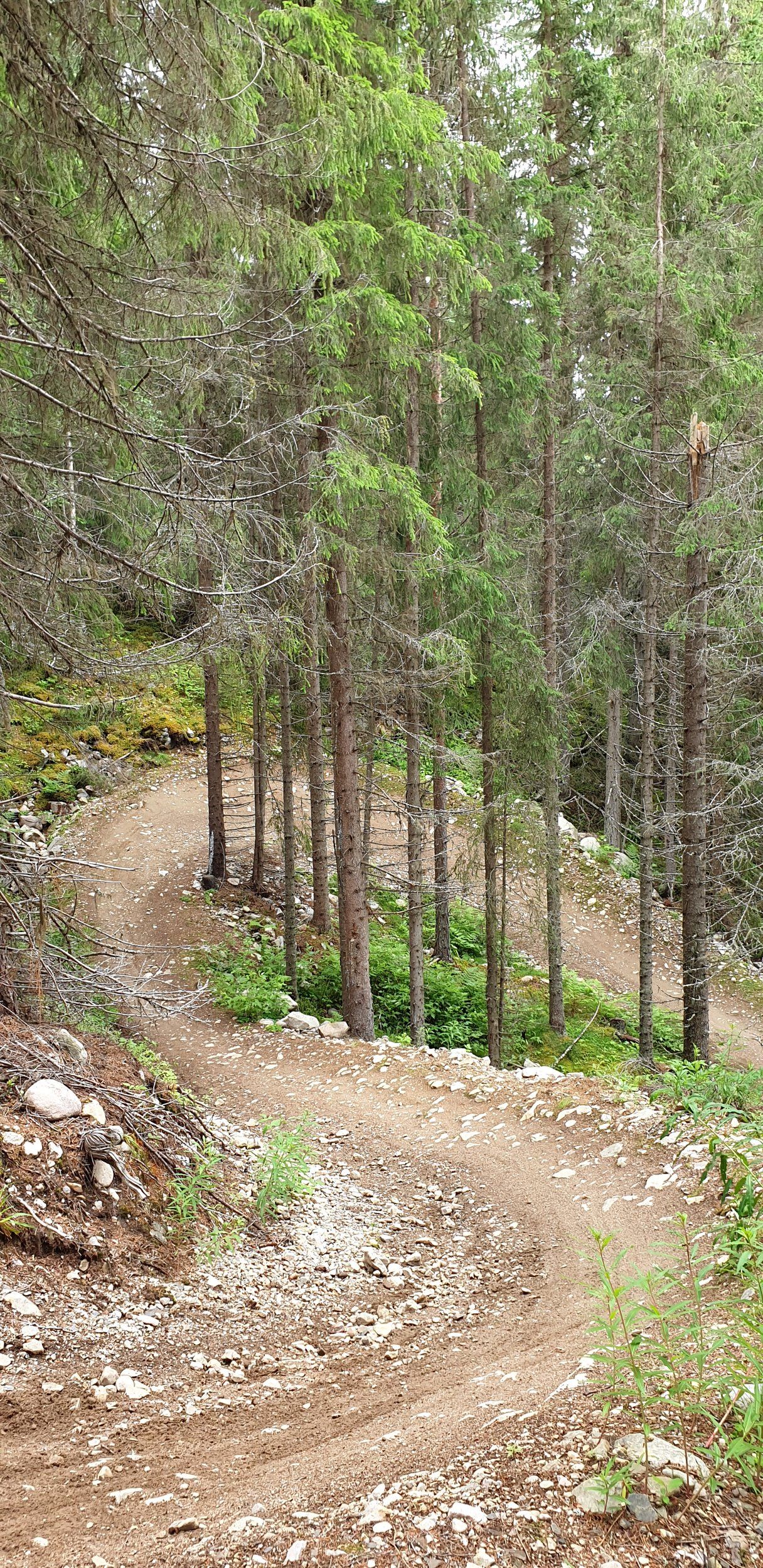 20200707_115932.jpg