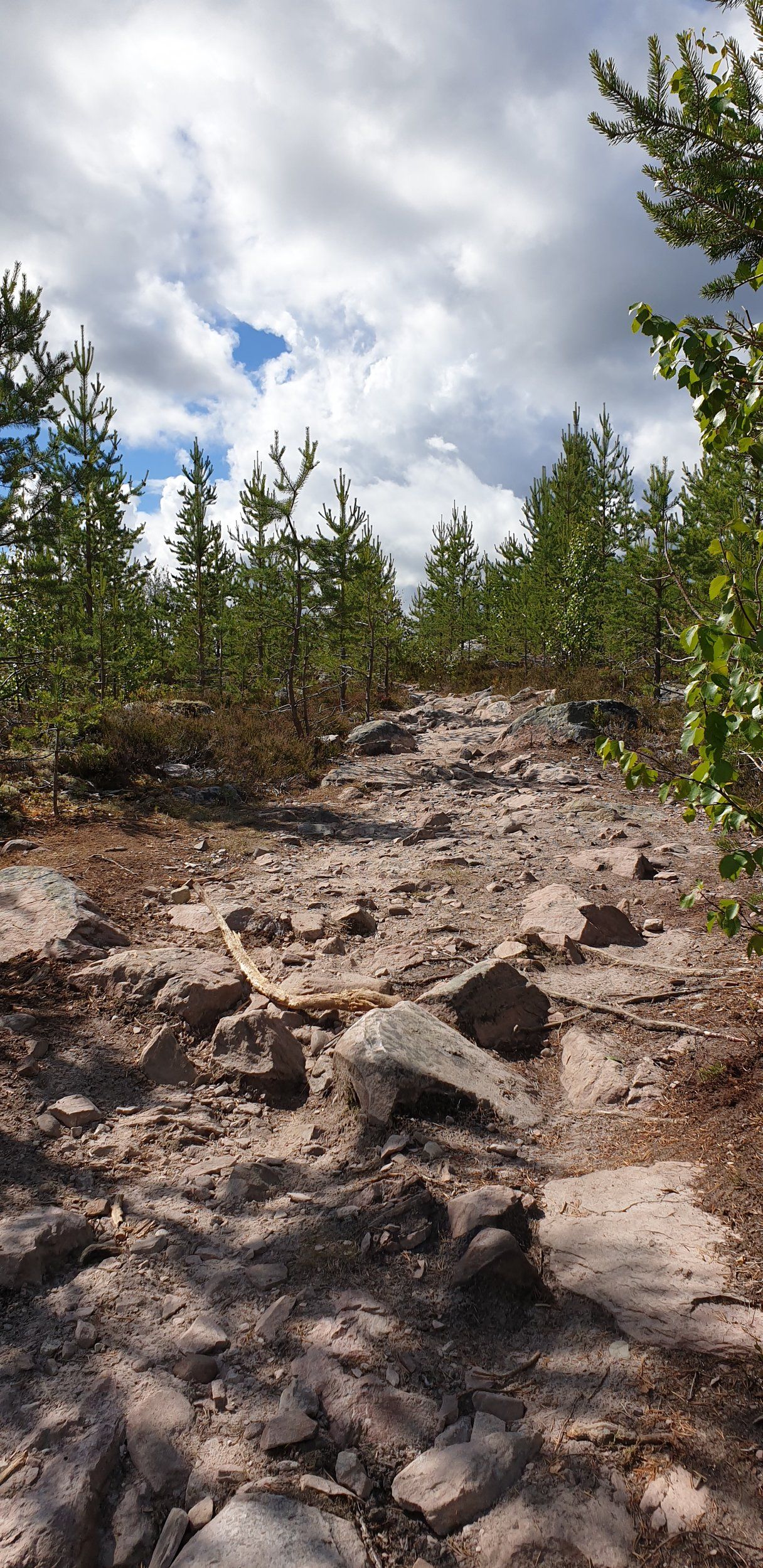 20200710_113755.jpg