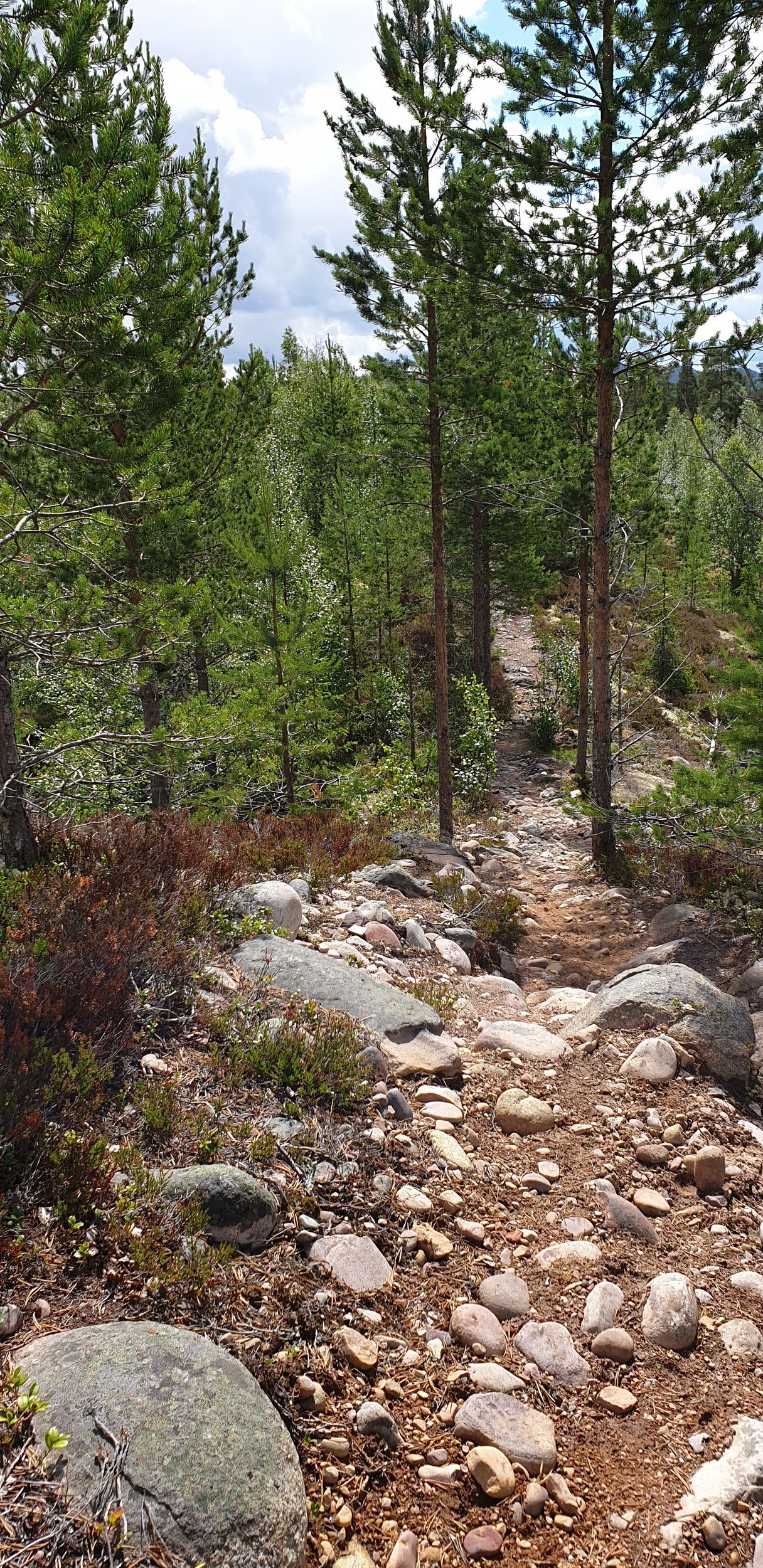 20200710_120025.jpg
