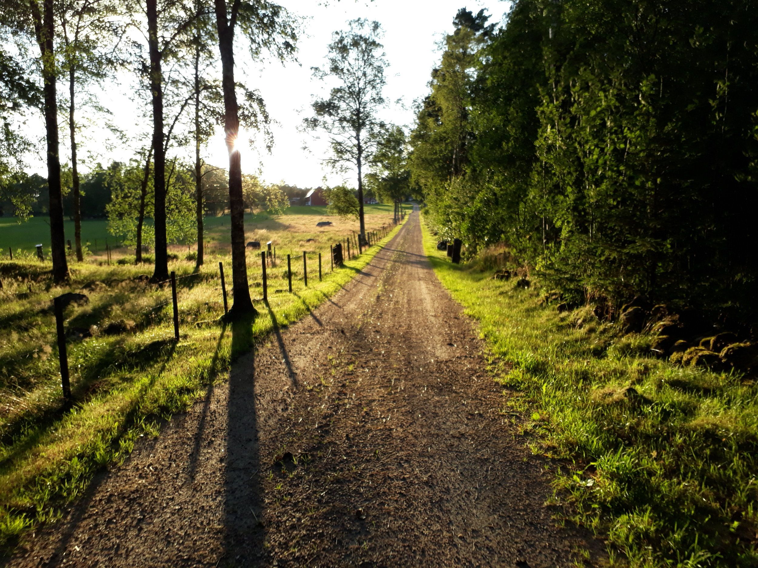 20200722_203318.jpg