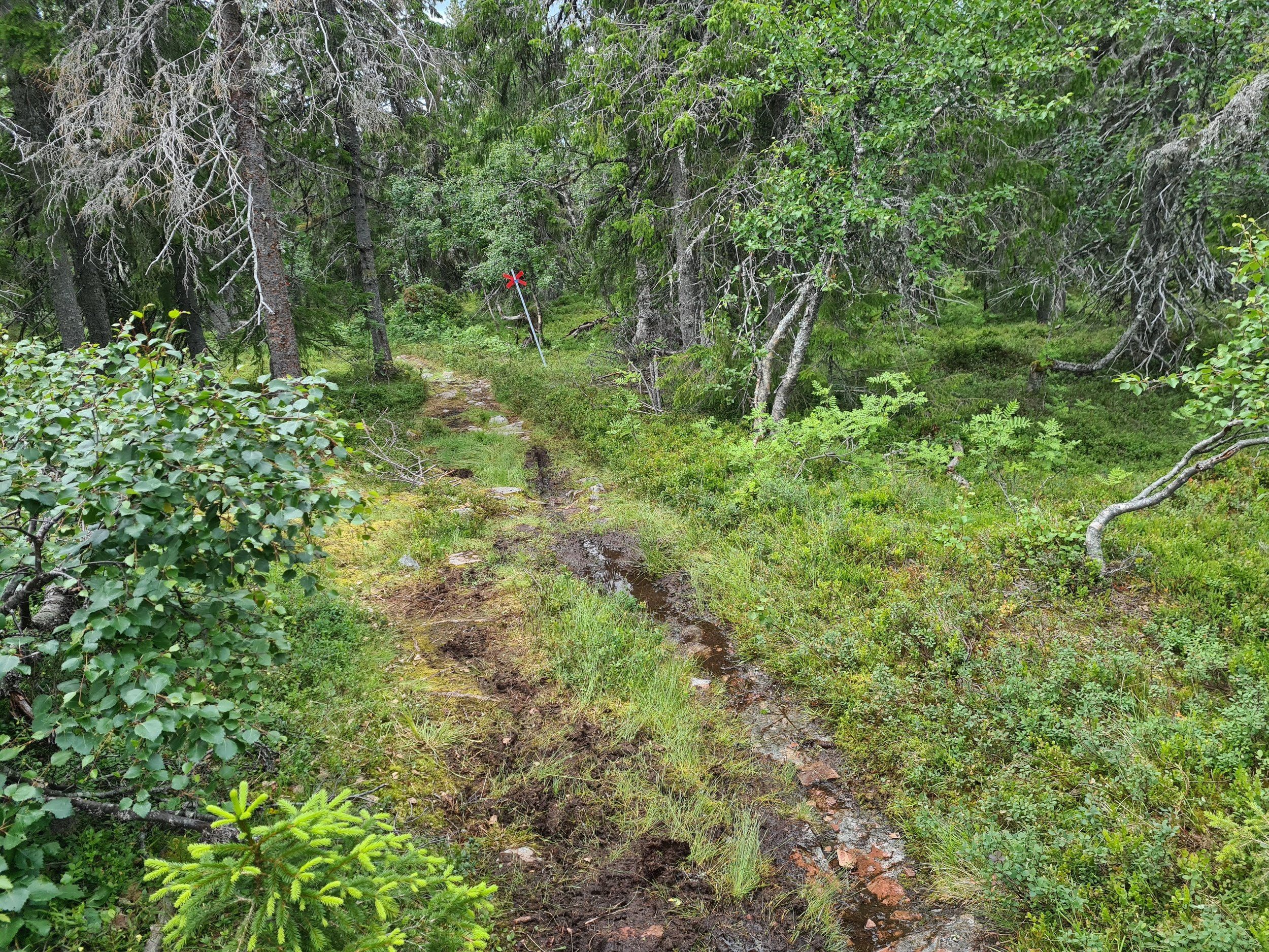 20200723_124756.jpg