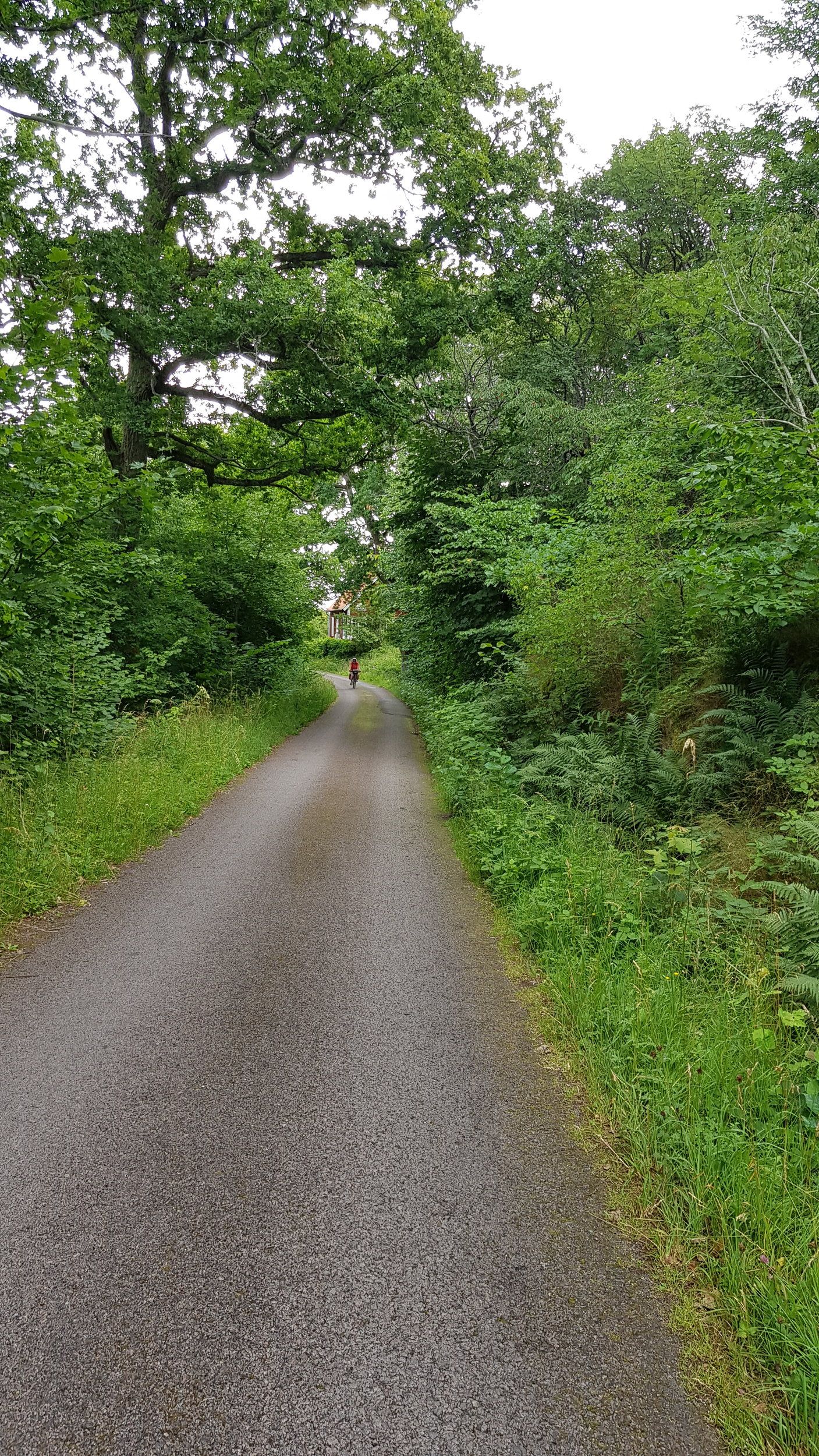 20200726_115535.jpg