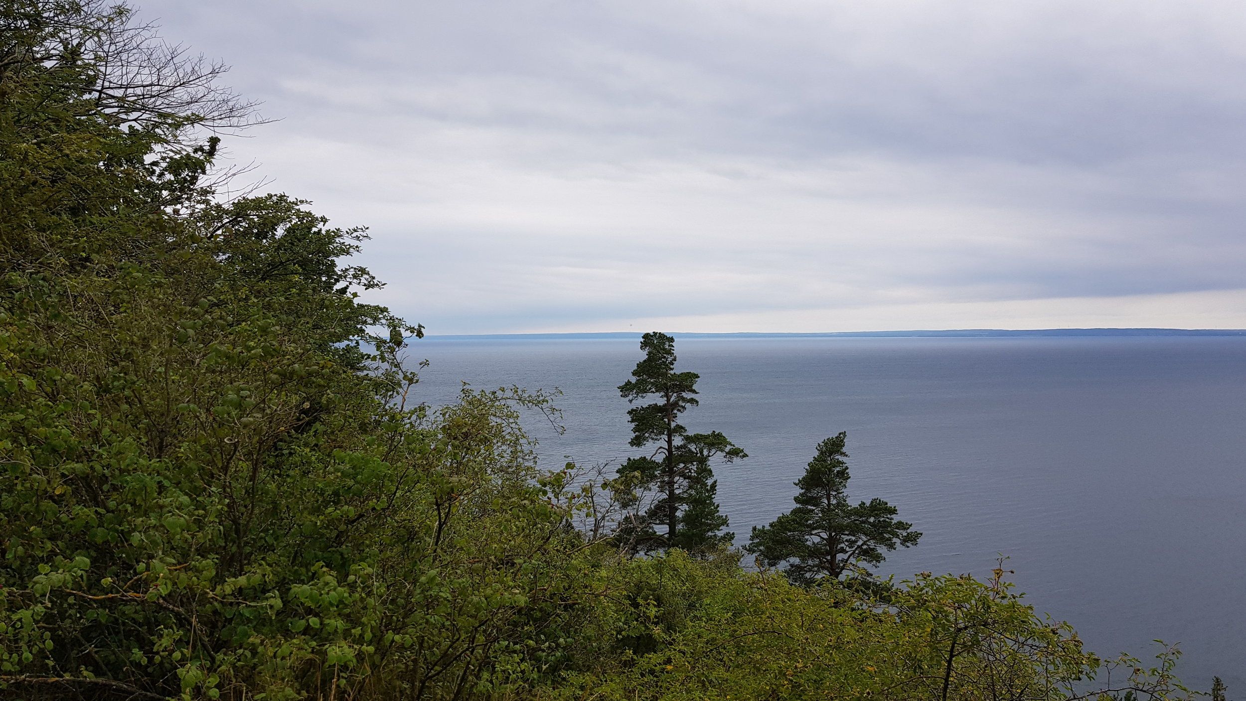 20200726_123619.jpg