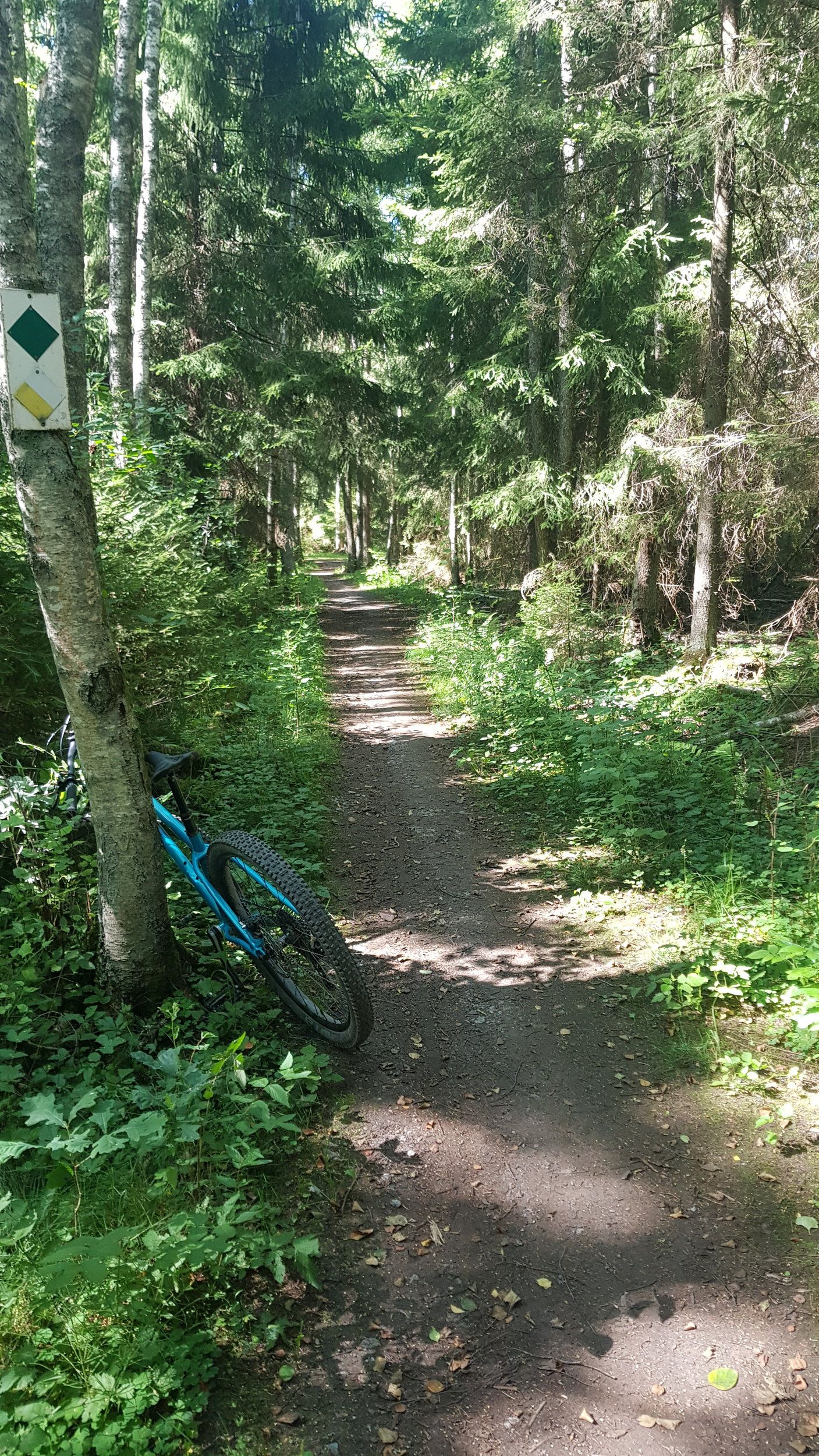 20200726_151552.jpg