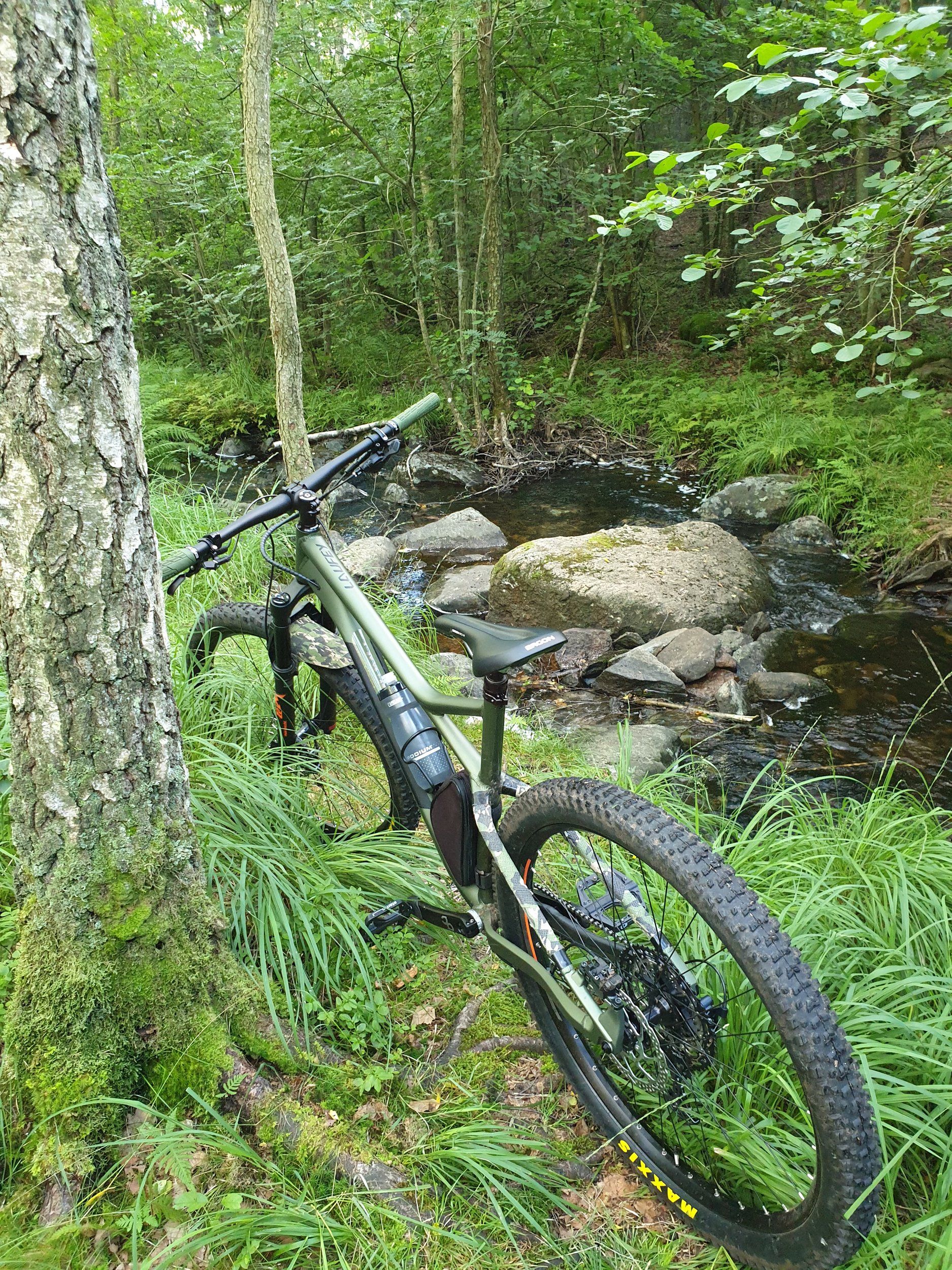 20200731_173439.jpg