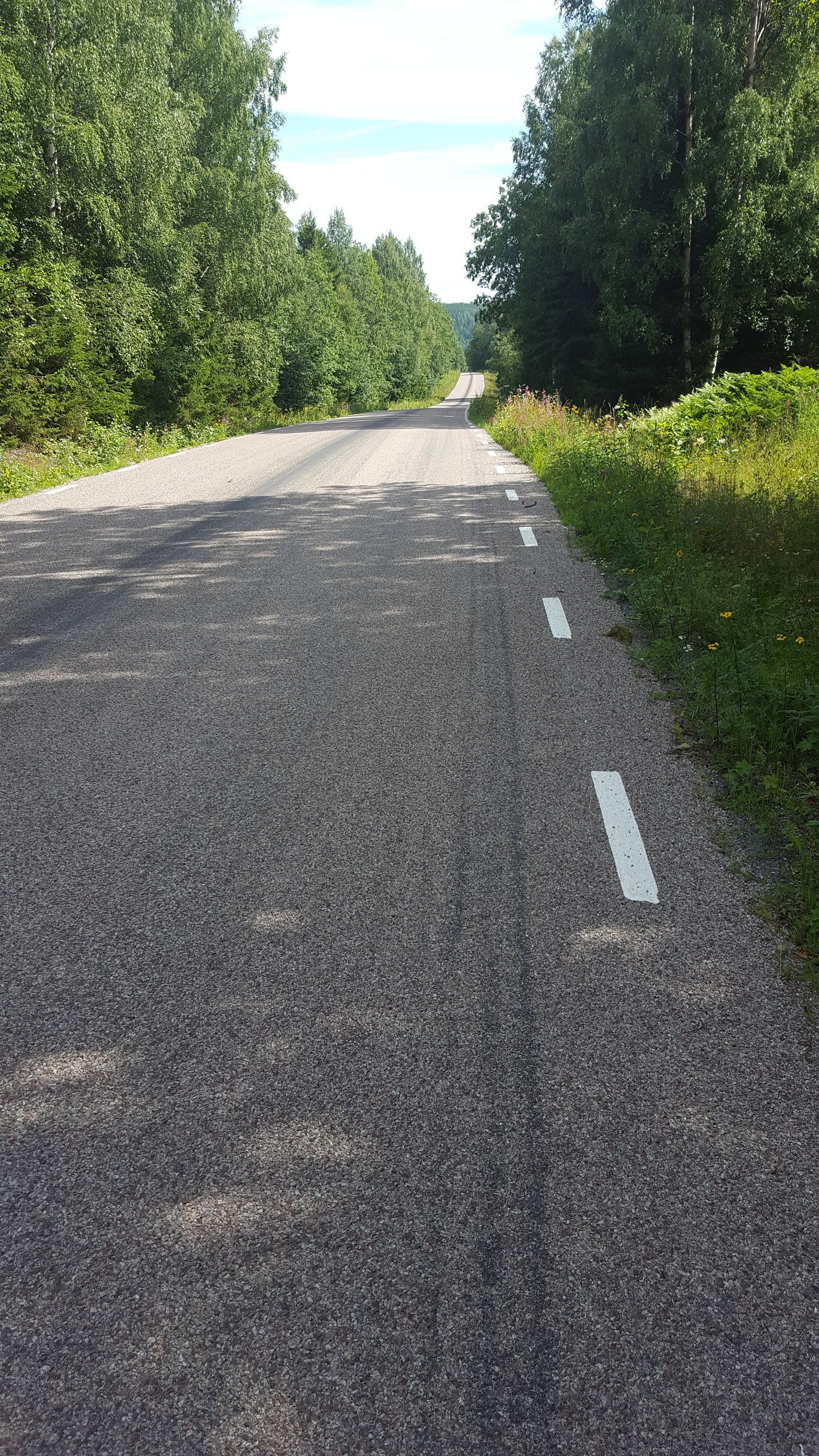 20200801_132901.jpg