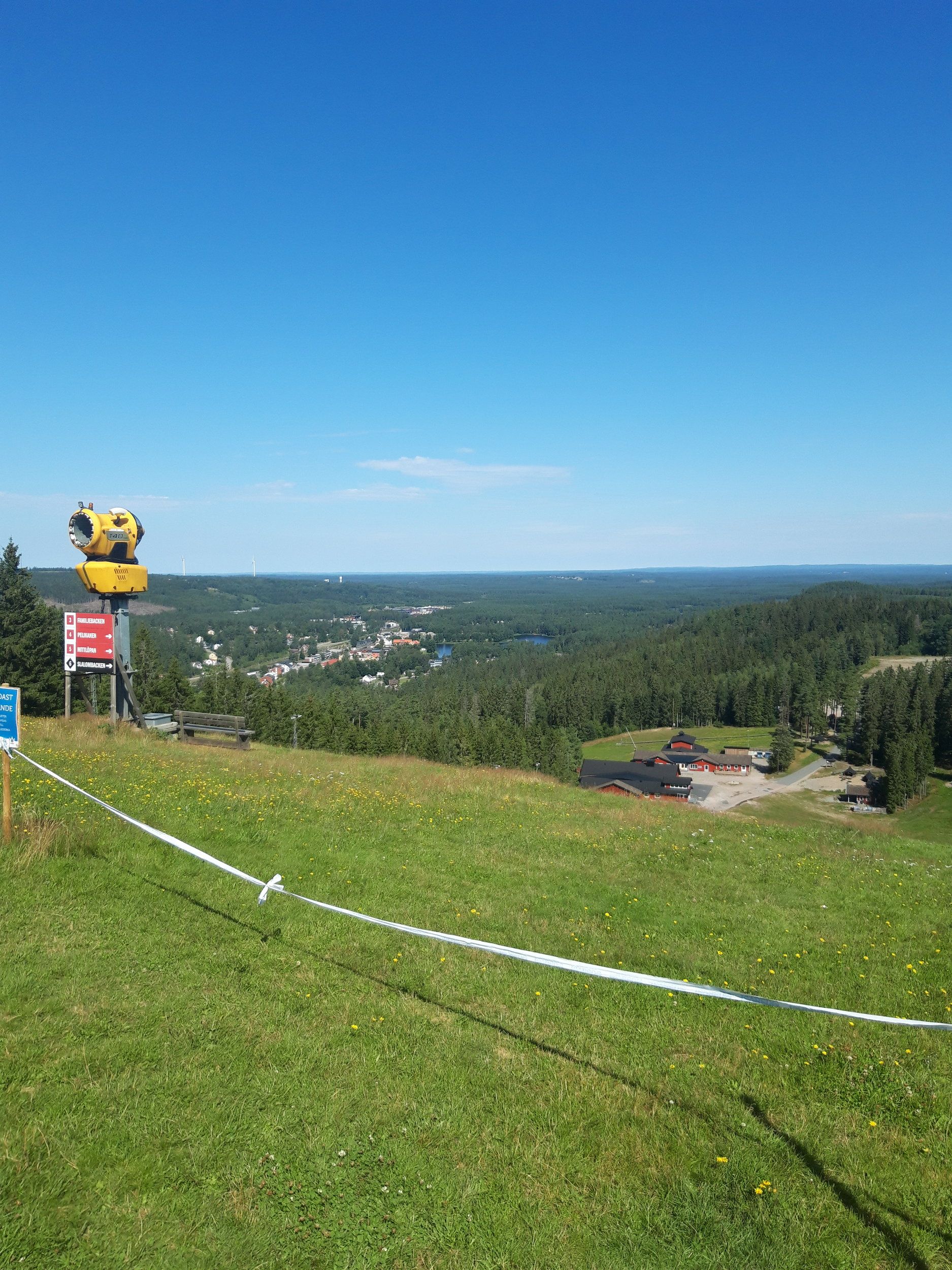 20200806_111749.jpg