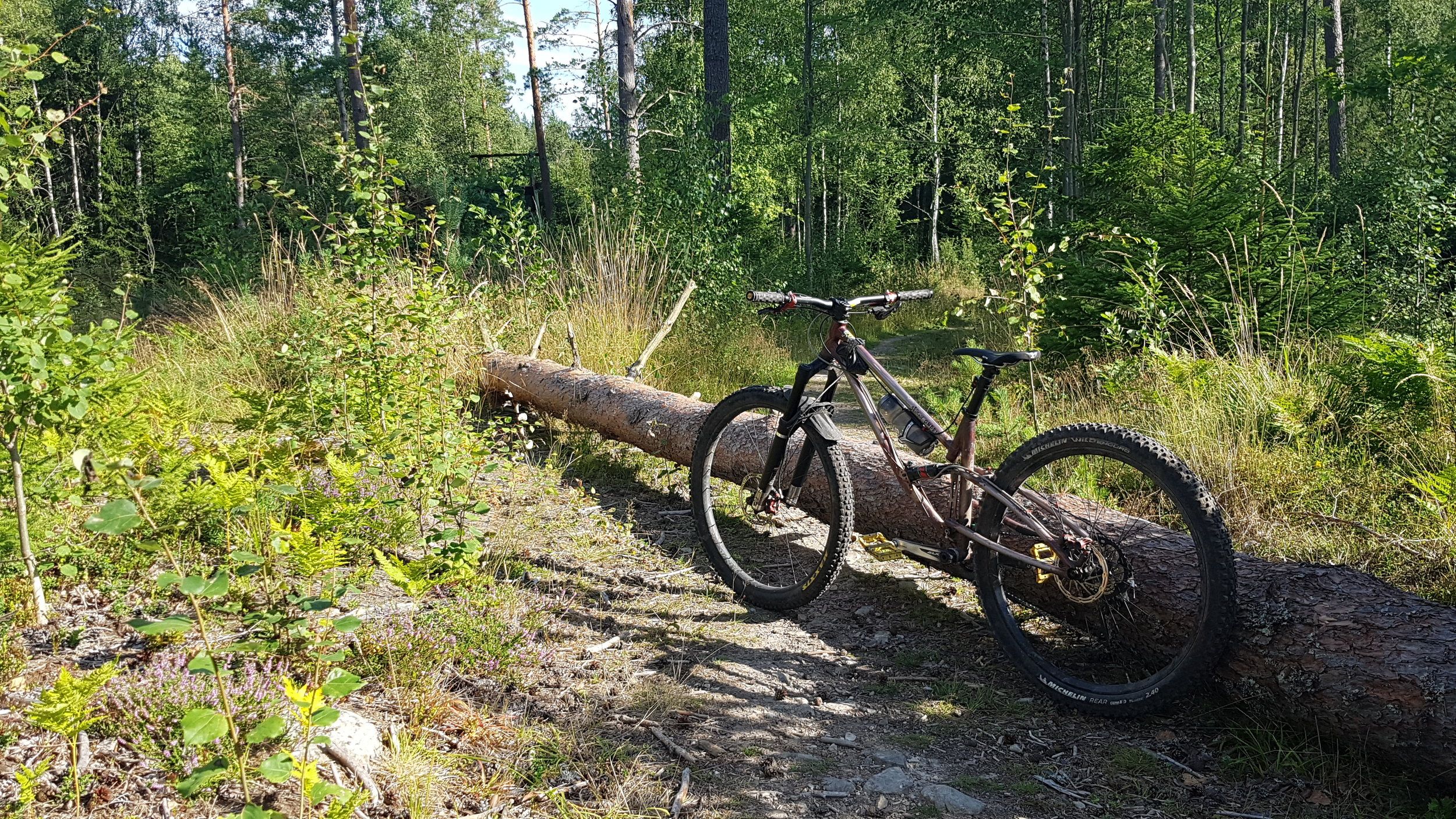 20200808_164404.jpg