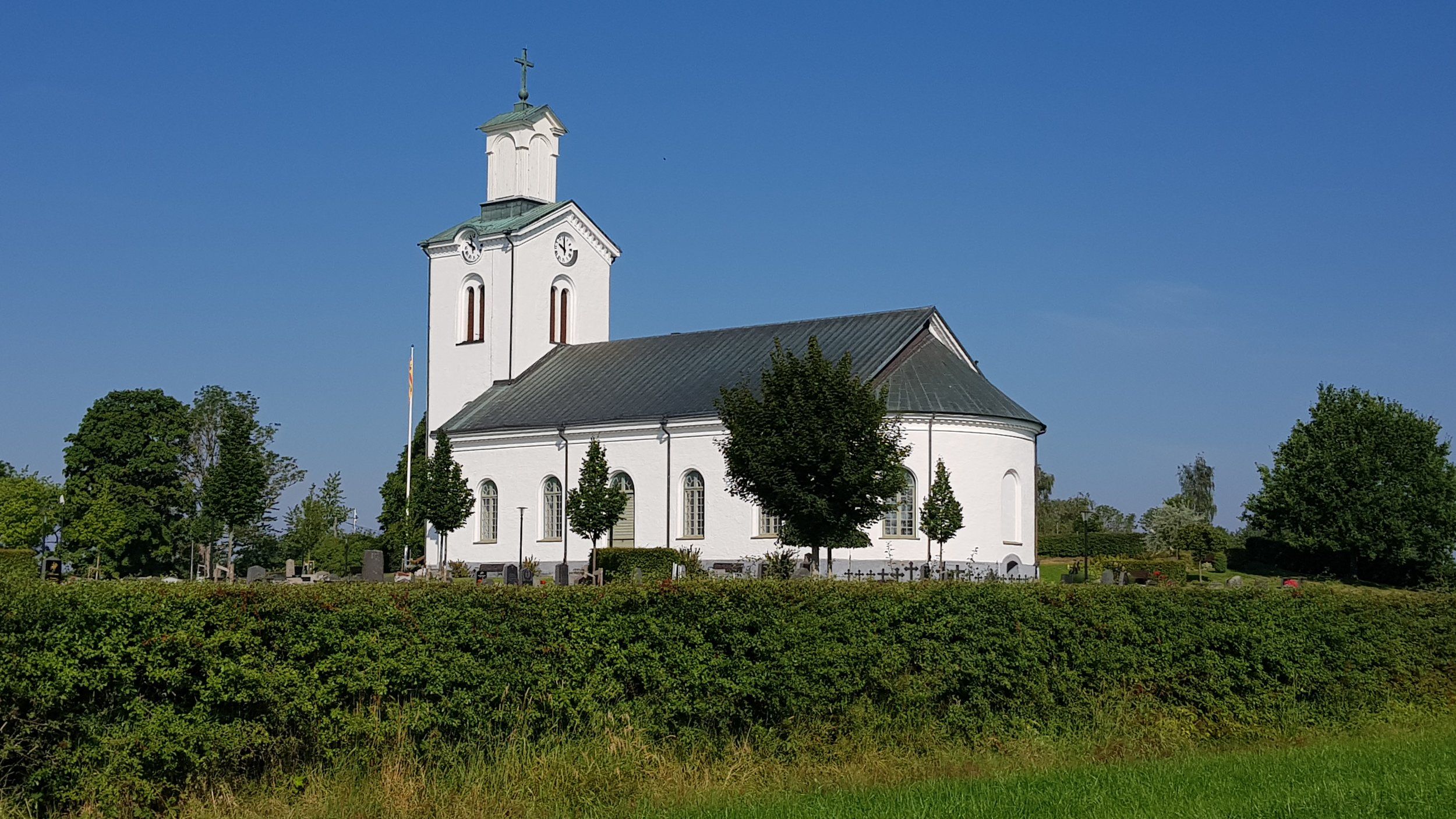20200809_095946[1].jpg
