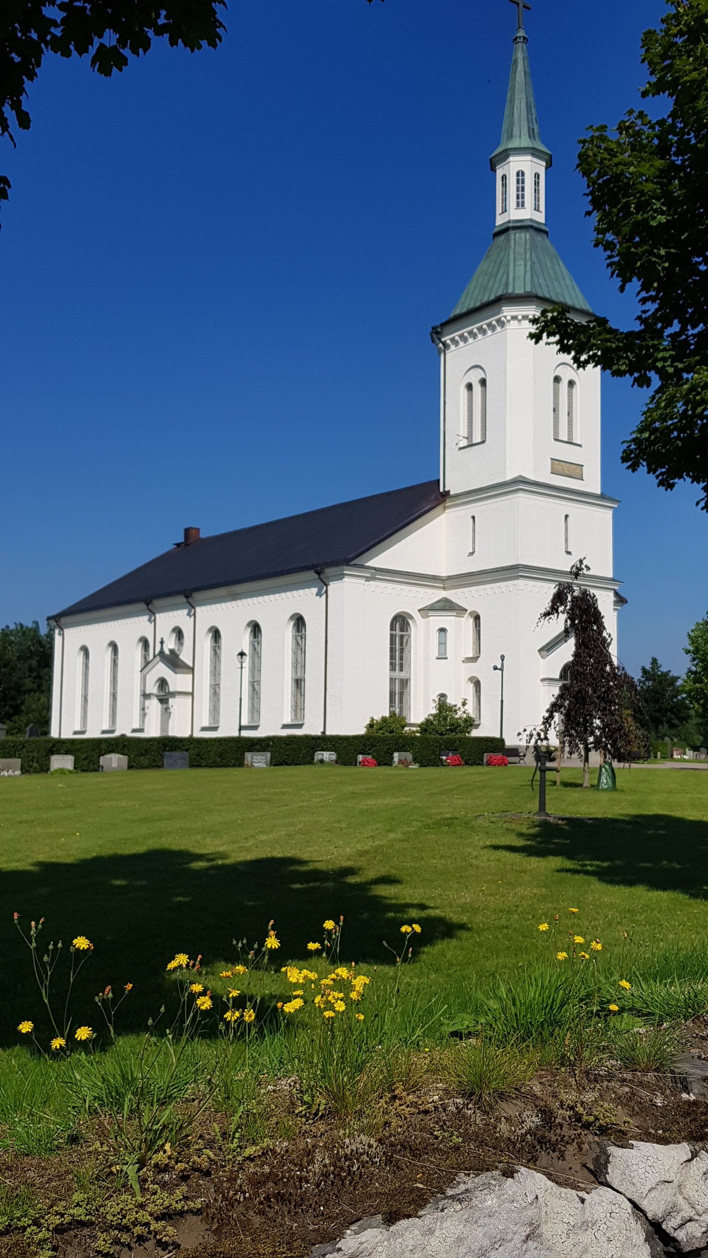 20200809_102004[1].jpg