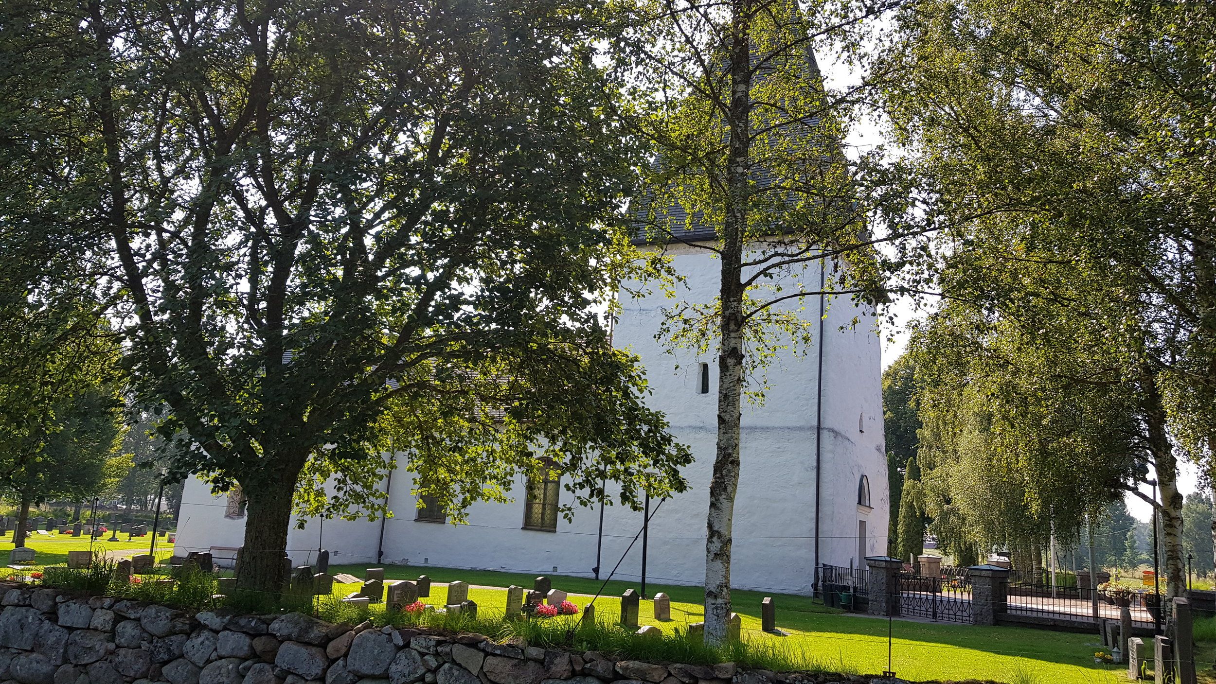 20200809_104759[1].jpg
