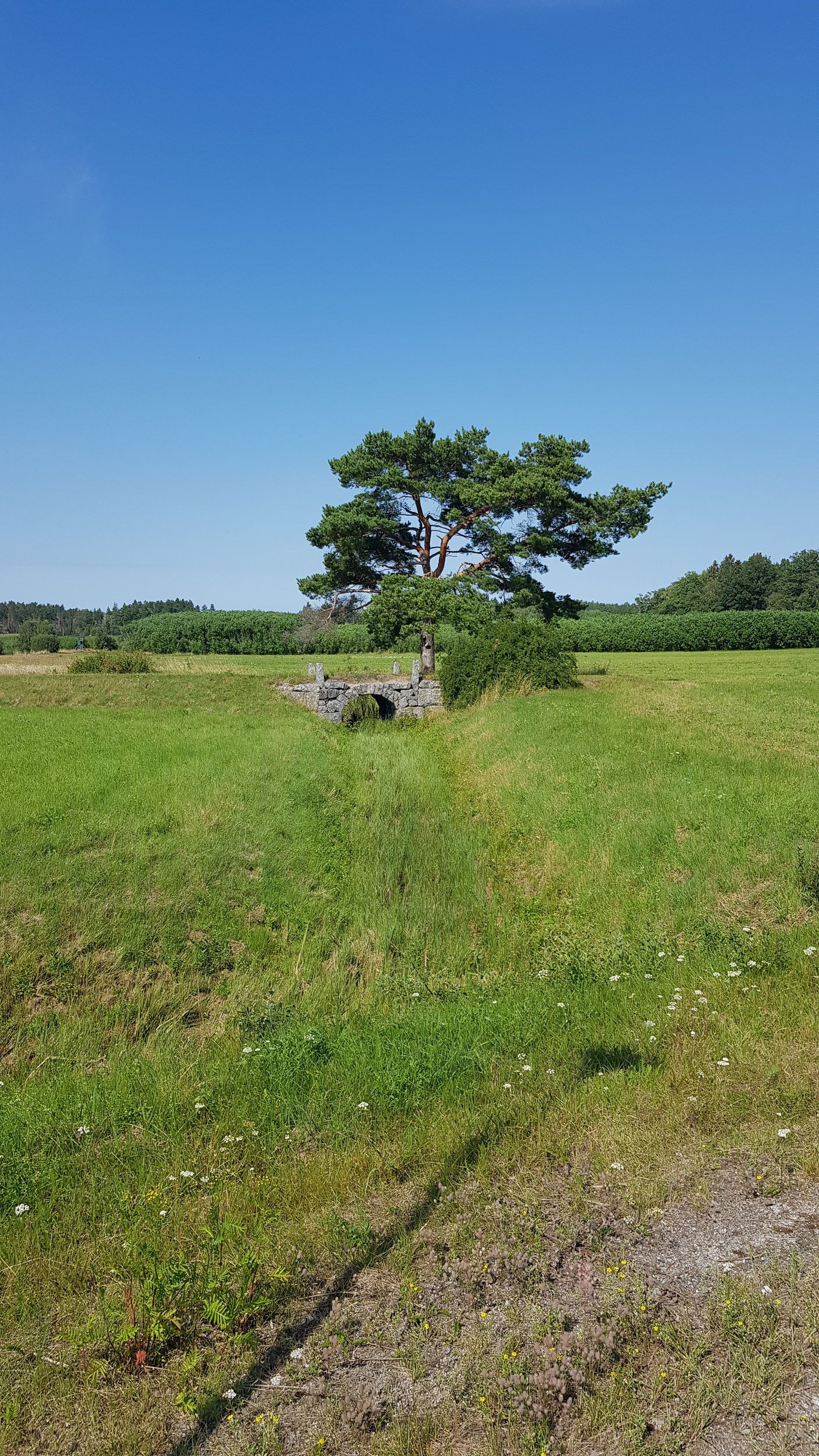 20200809_135852.jpg