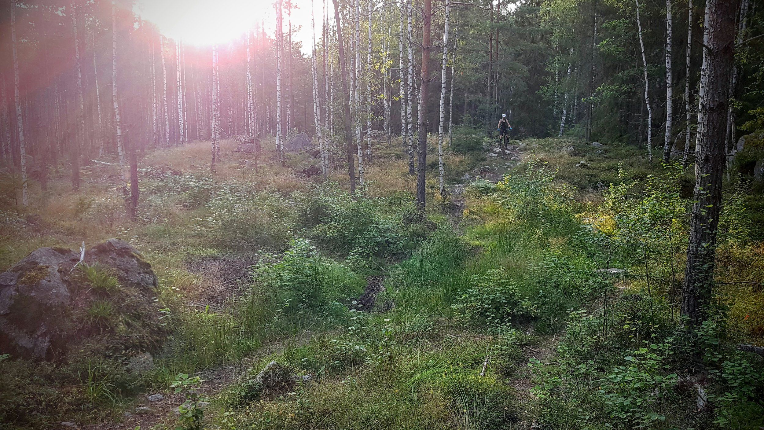 20200809_184826~2.jpg