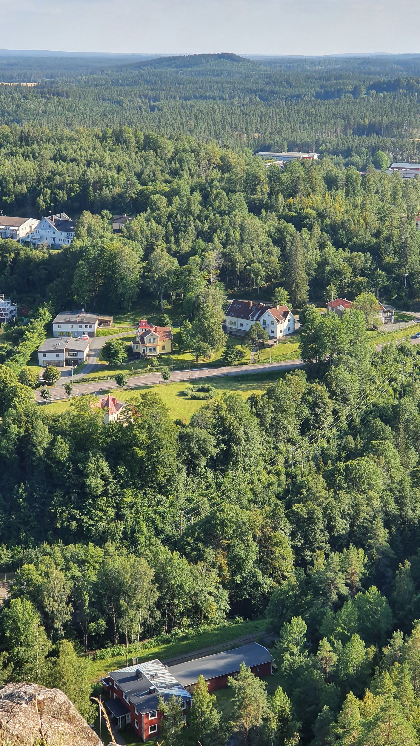 20200816_171303.jpg