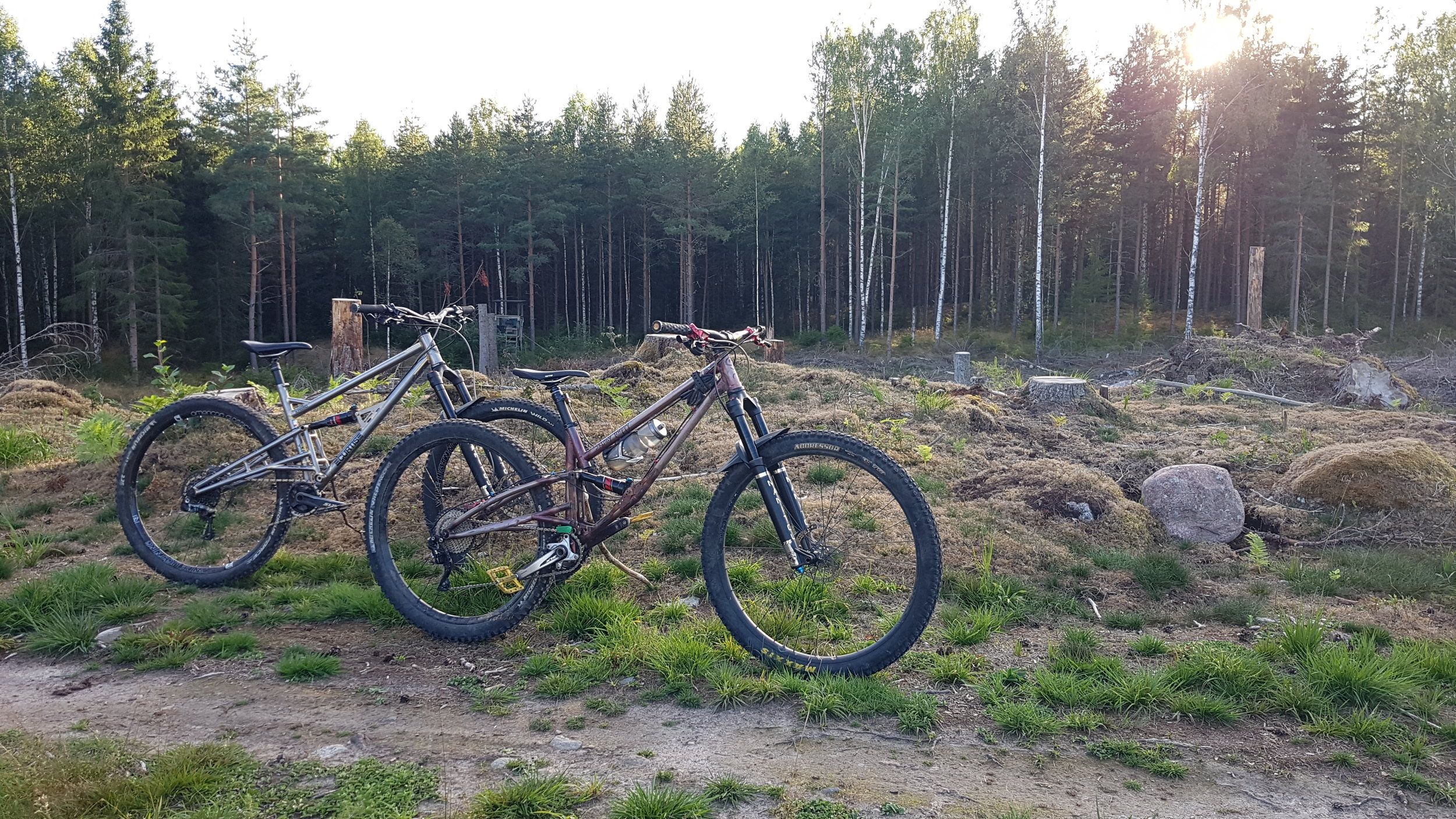 20200824_184601.jpg