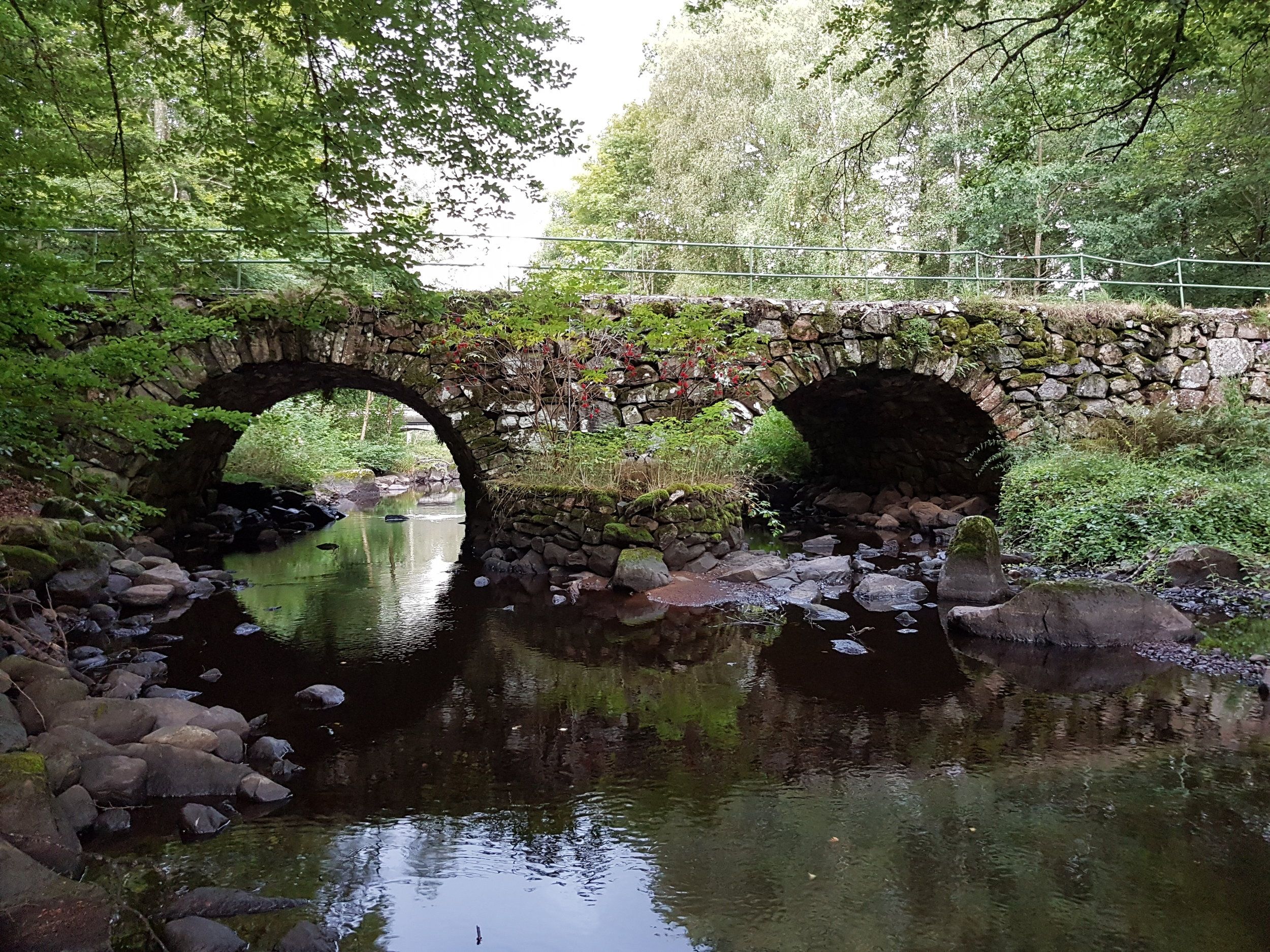 20200826_172315.jpg