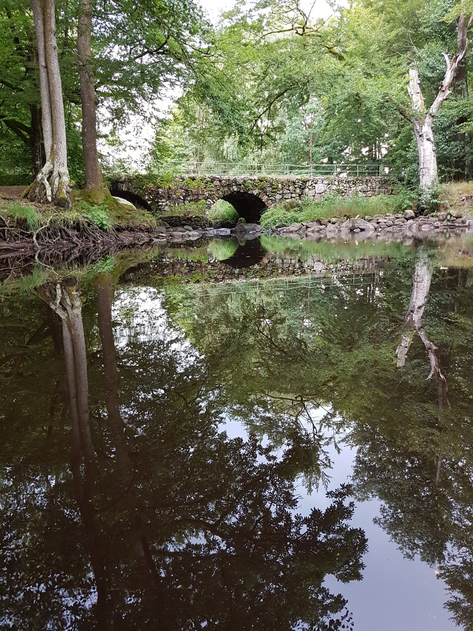 20200826_172653.jpg