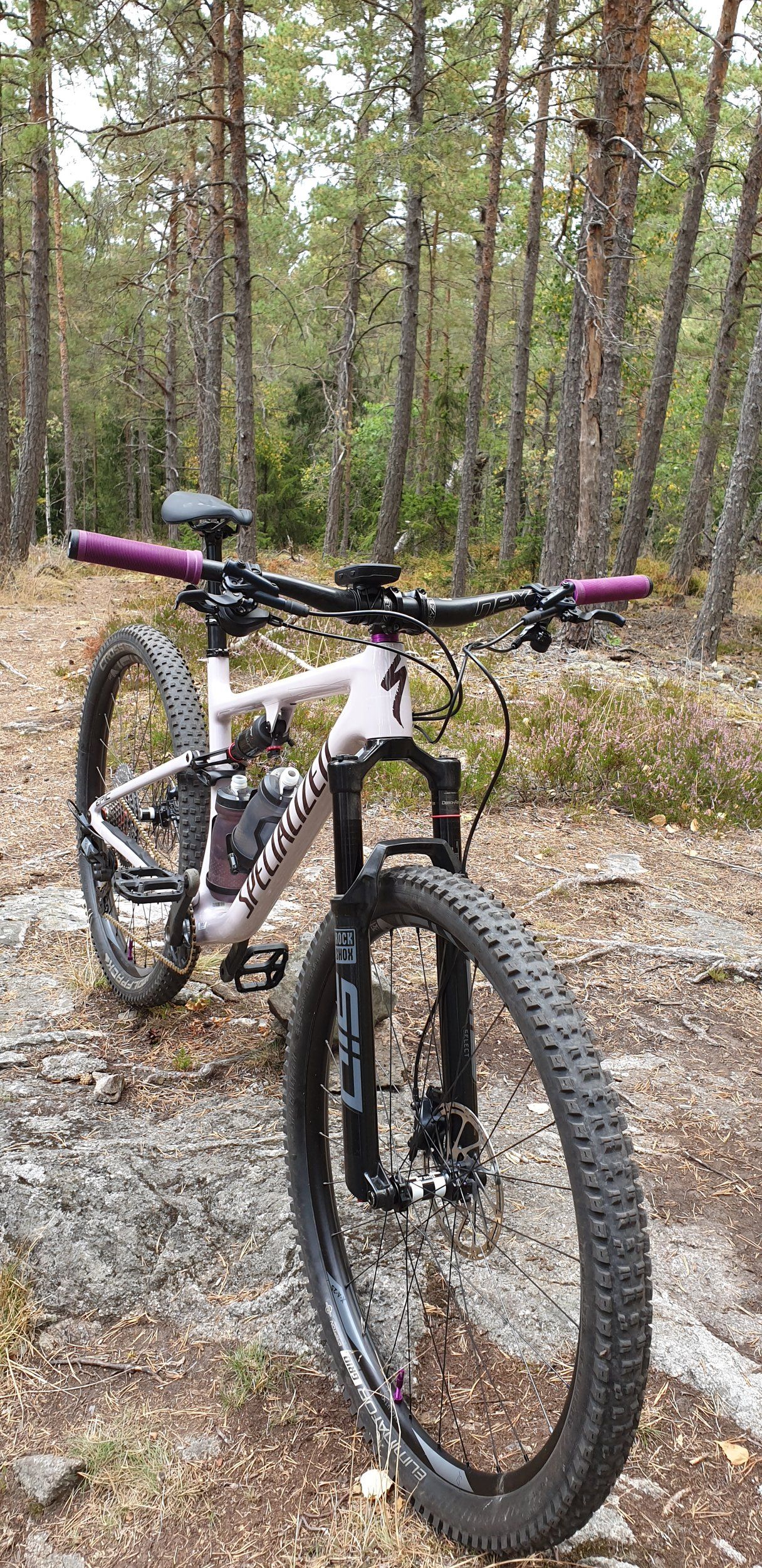 20200827_180953.jpg