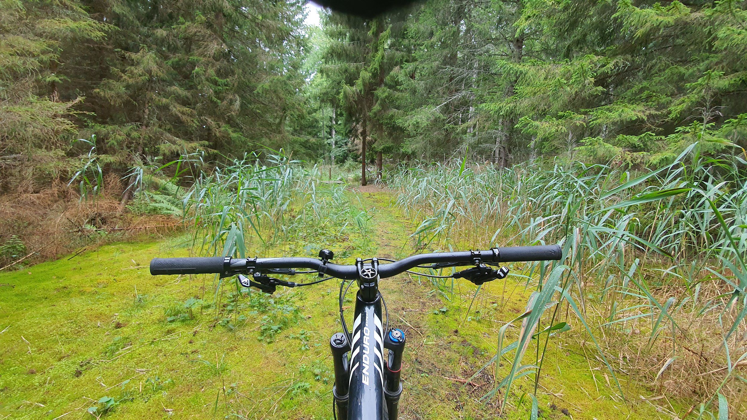 20200829_083541.jpg