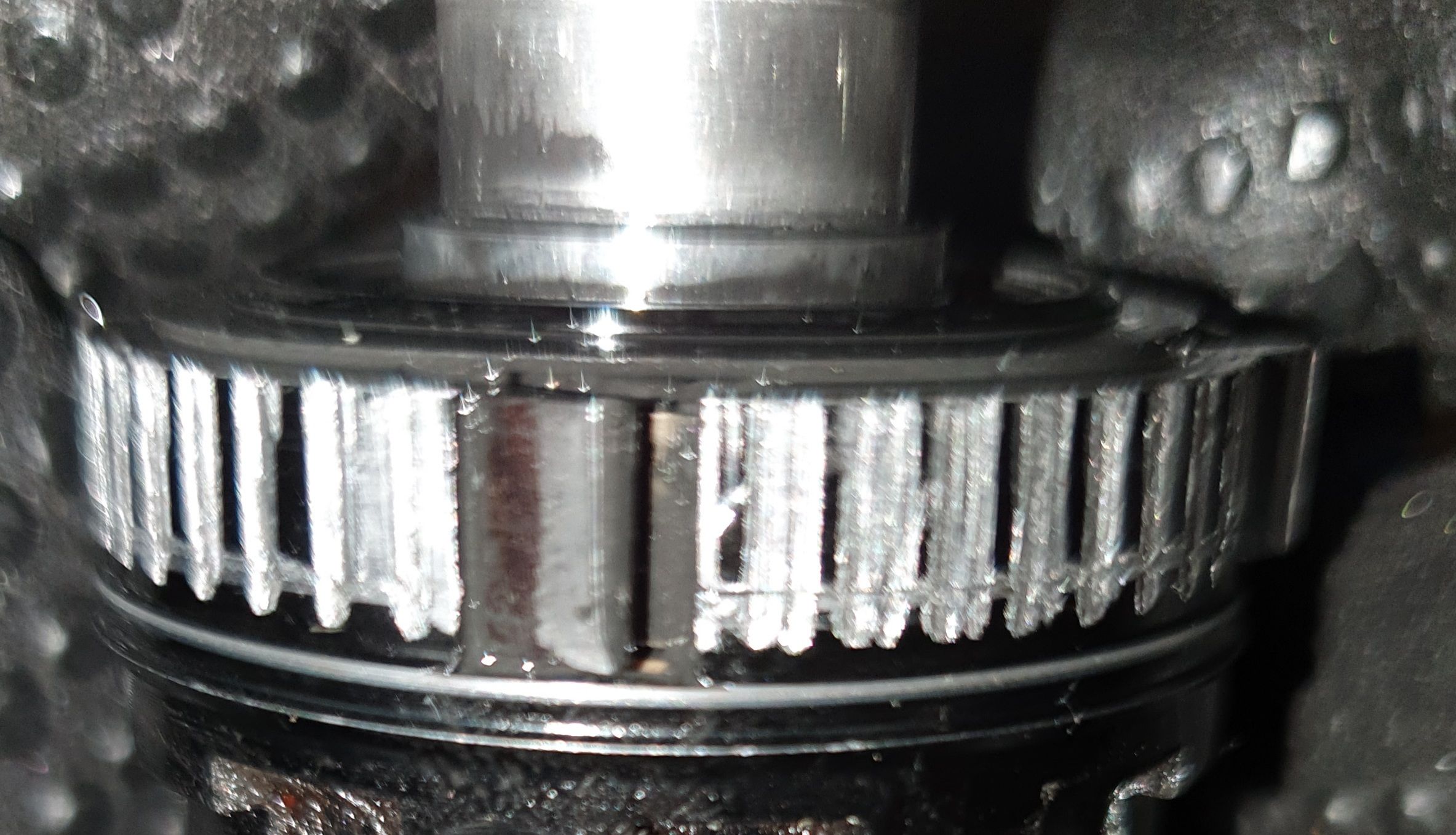 20200830_070739.jpg