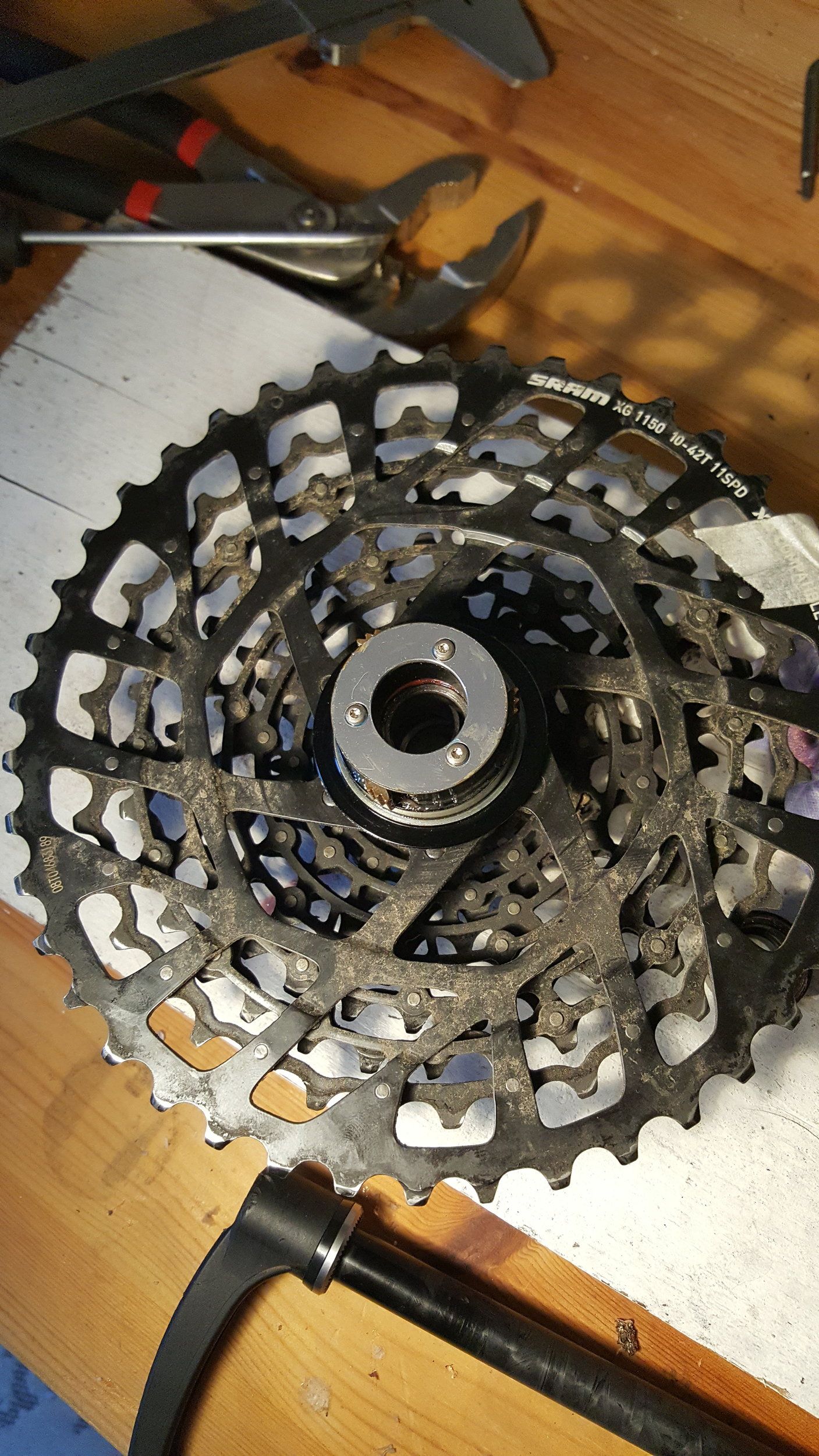 20200905_174832.jpg