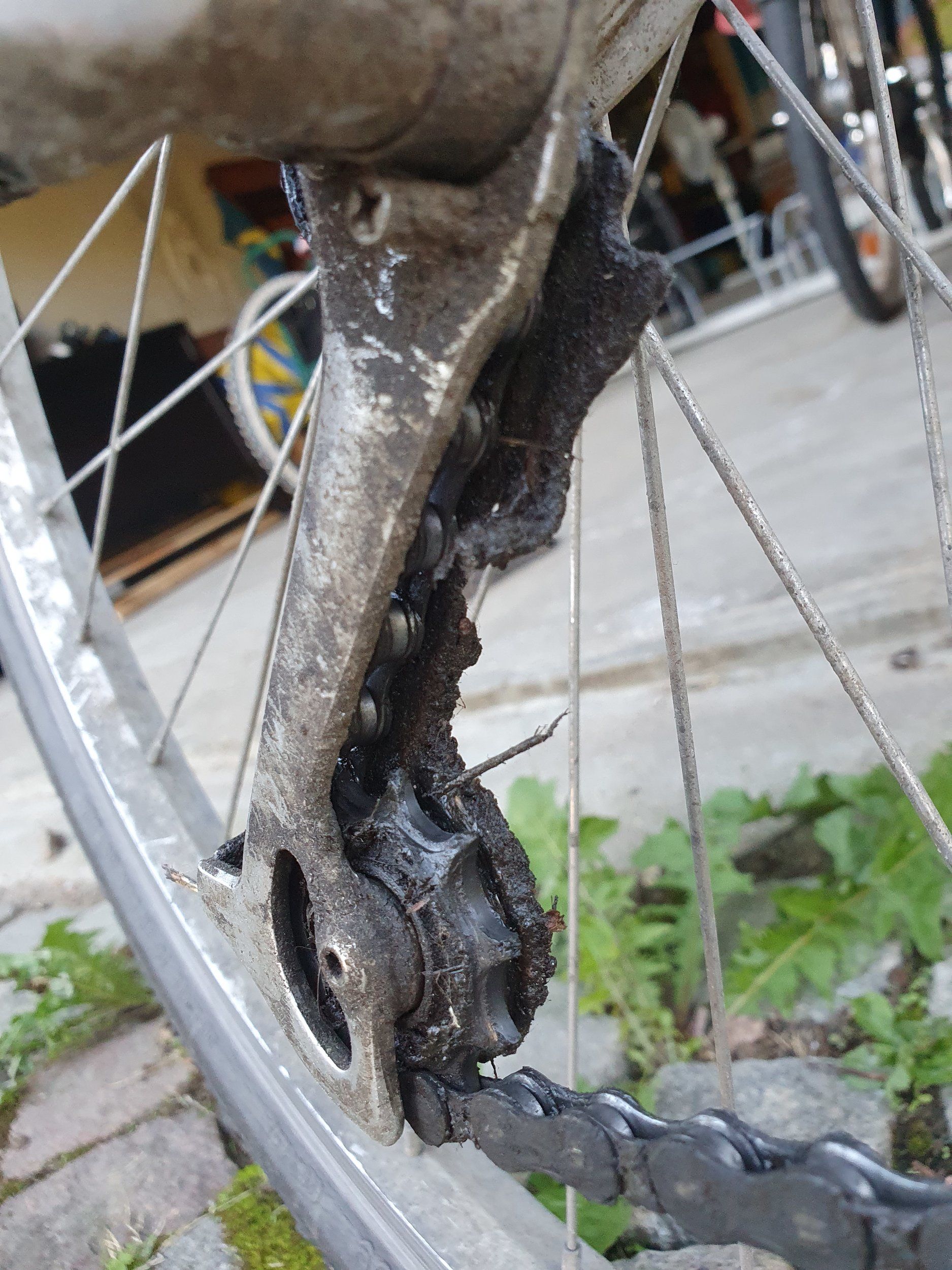 20200907_081149.jpg