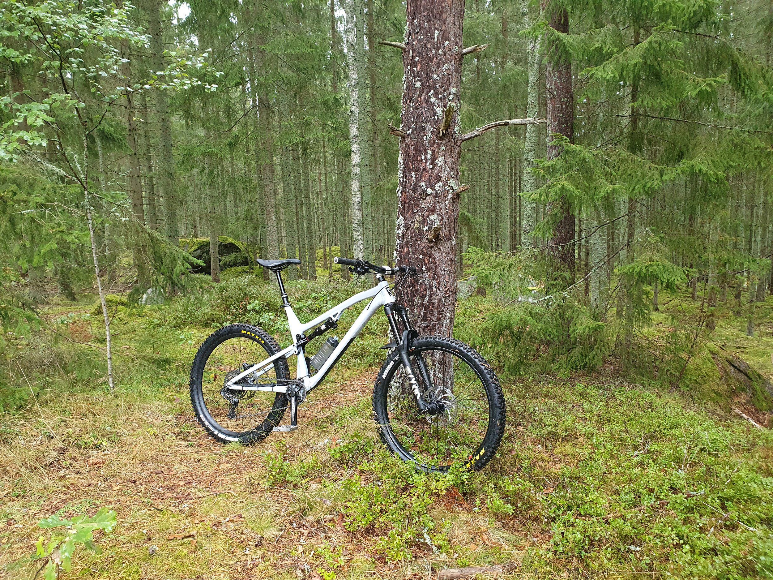 20200909_163901.jpg