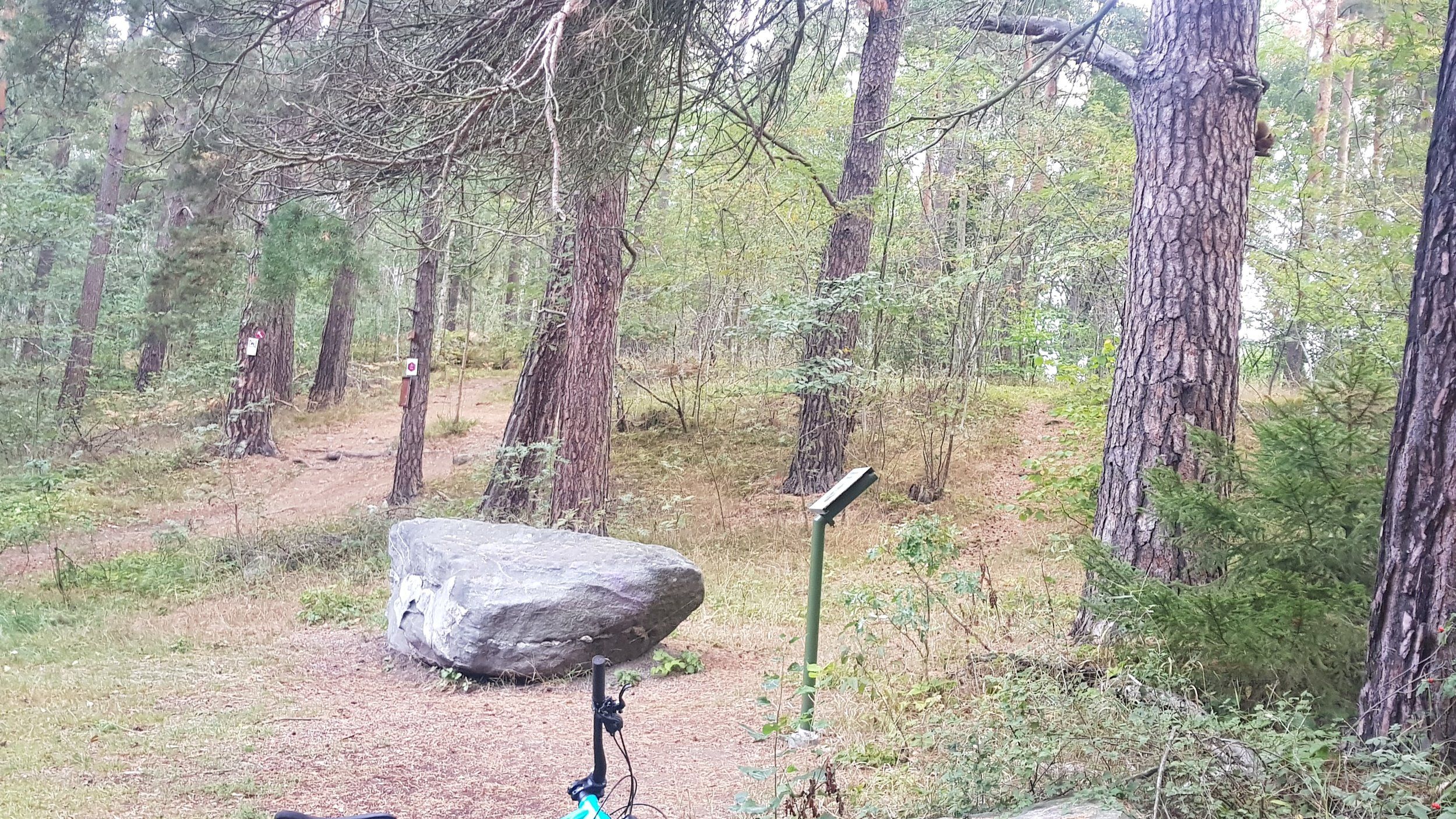 20200911_065502.jpg