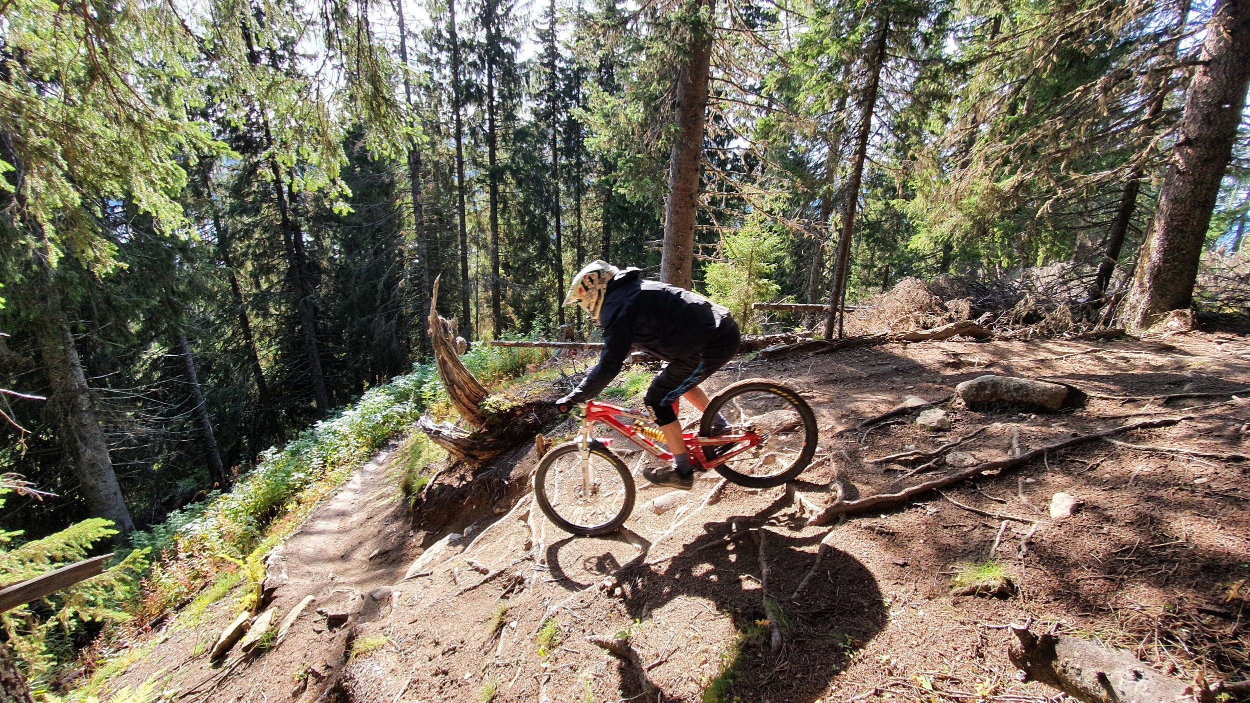 20200911_132702(1).jpg