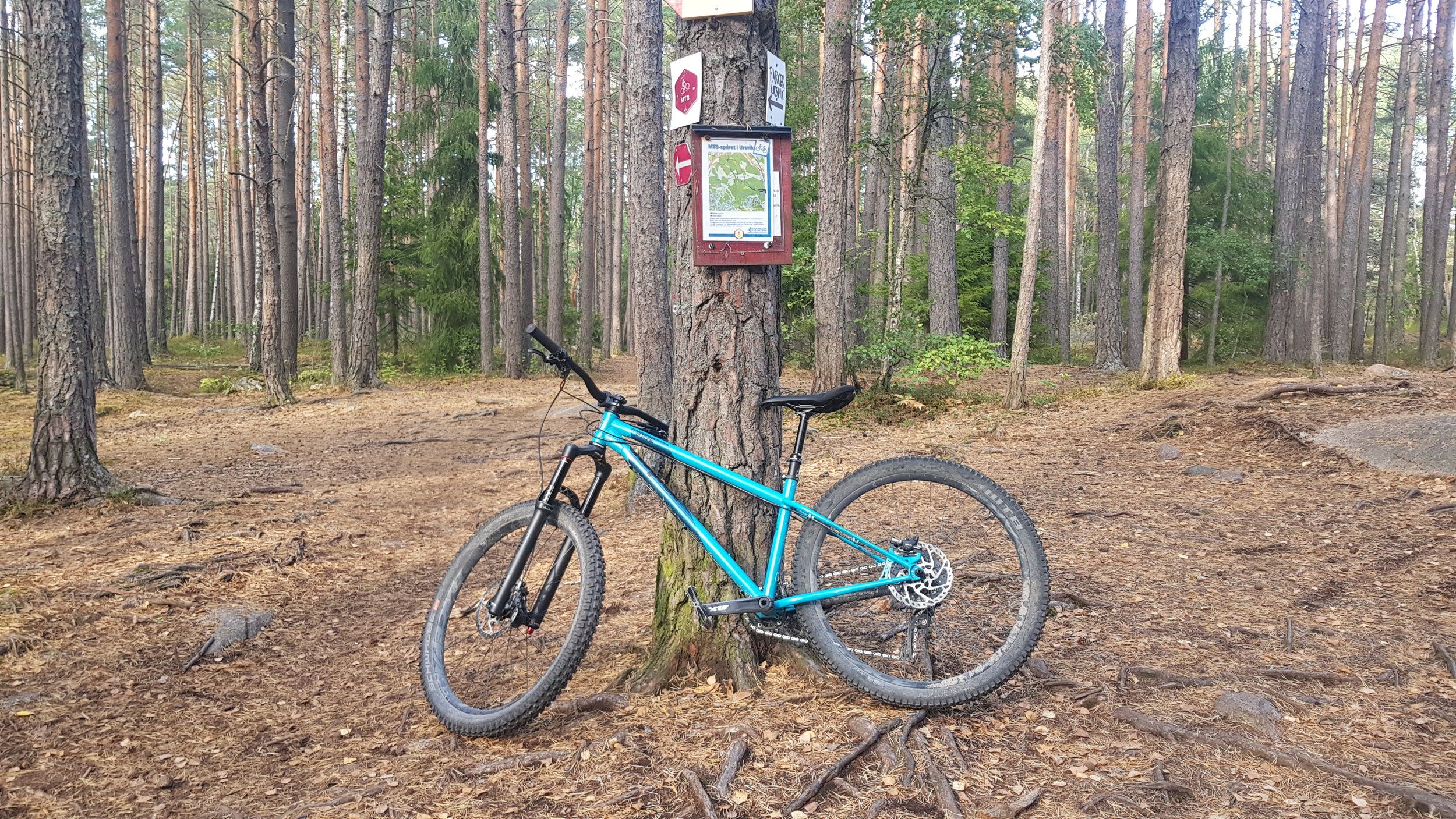 20200911_154917.jpg