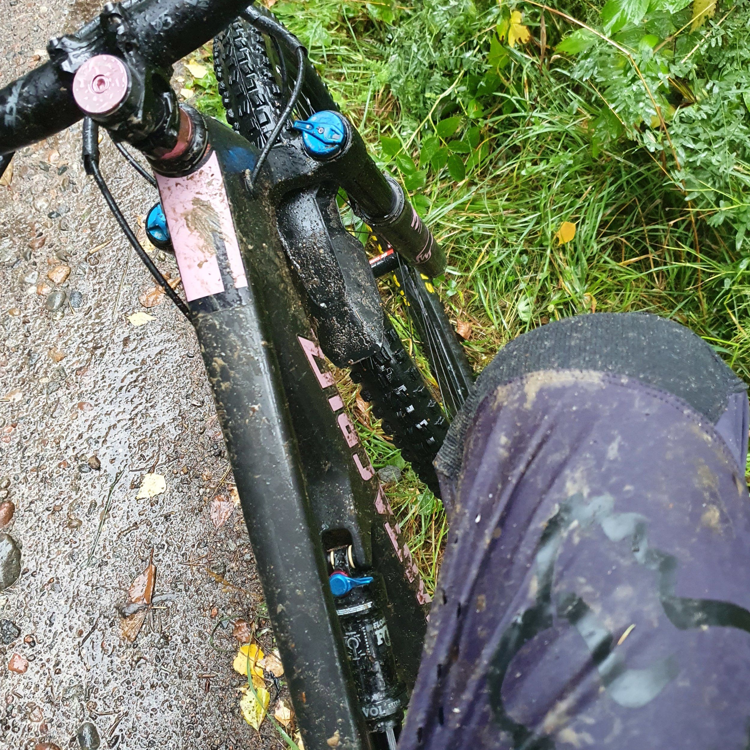 20200912_173220.jpg