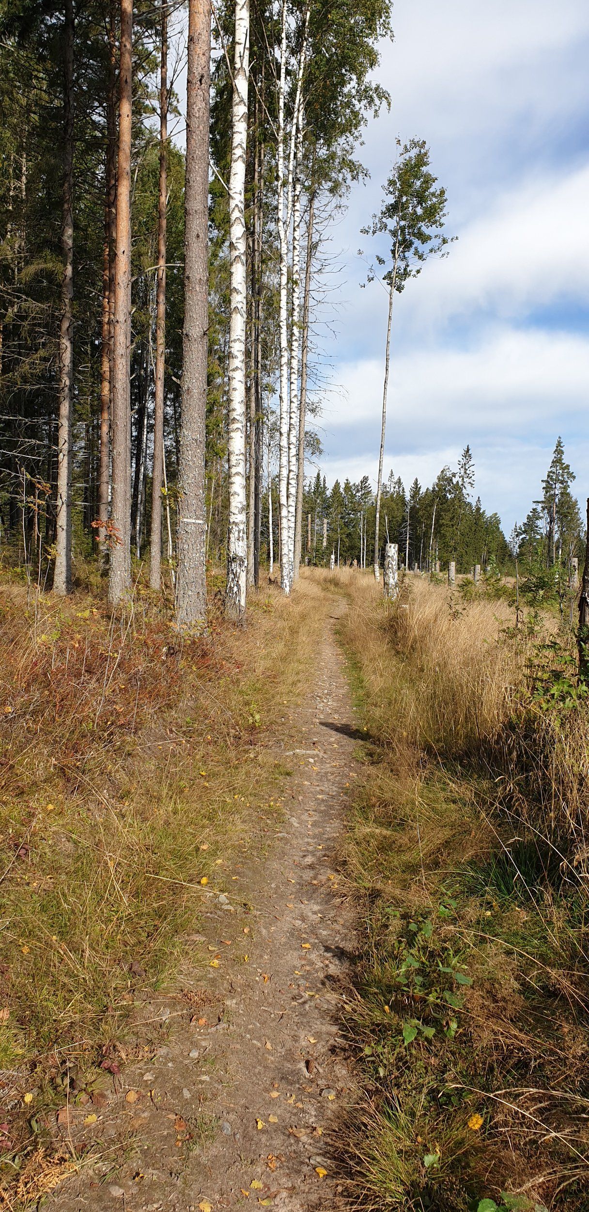 20200913_100041.jpg