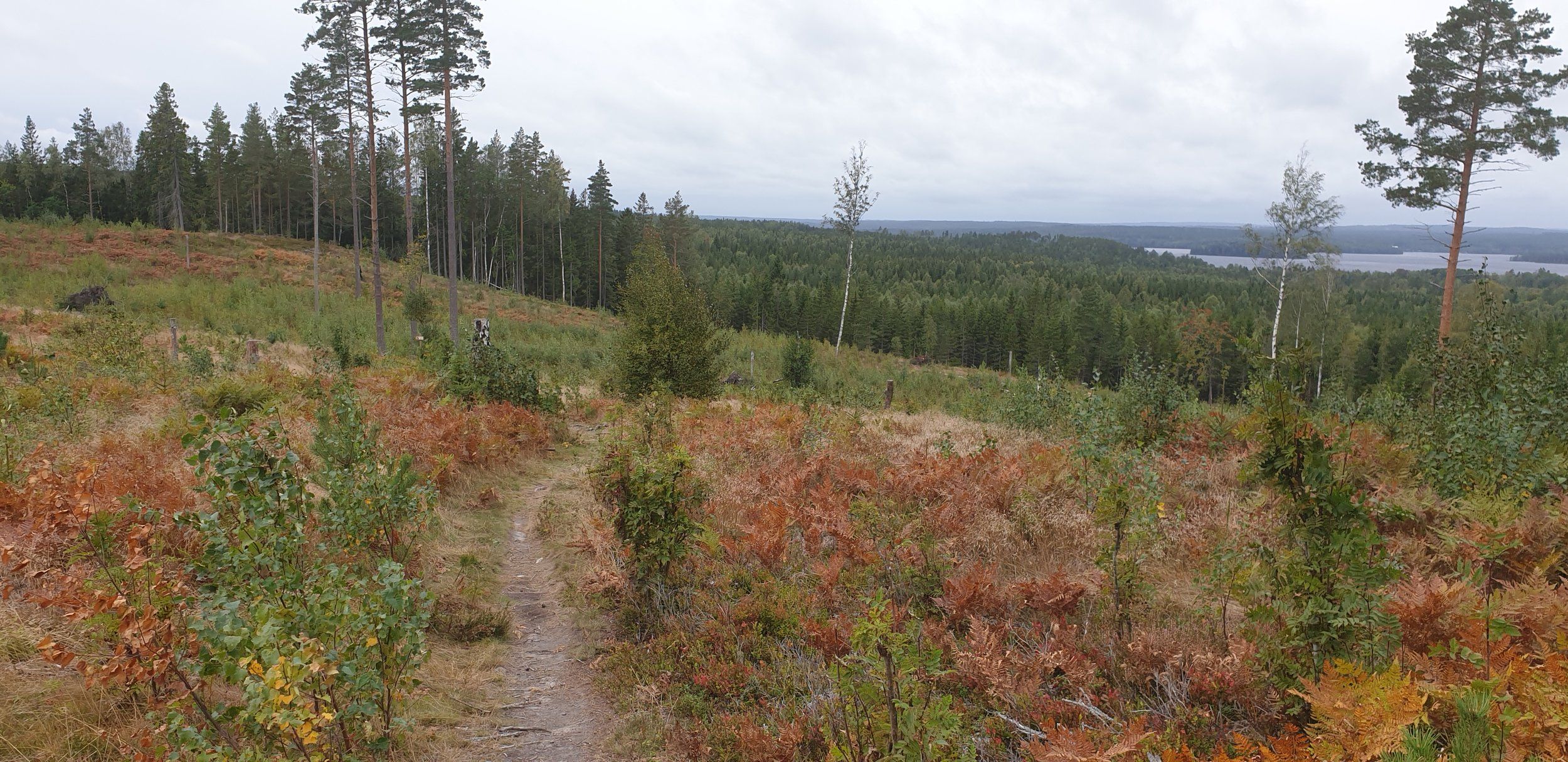 20200913_134009.jpg