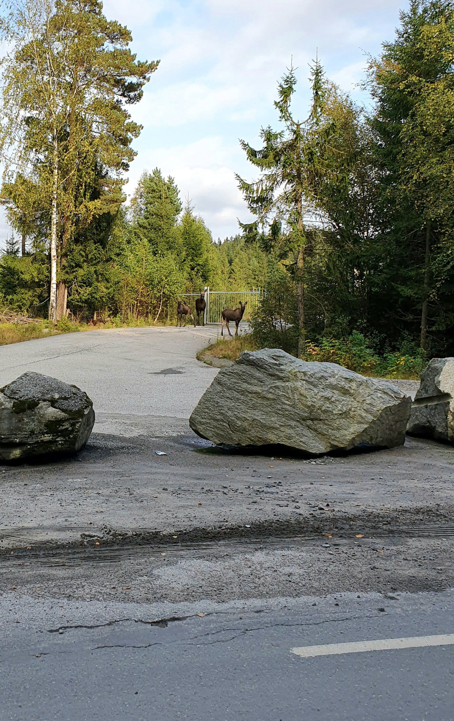 20200914_183237.jpg