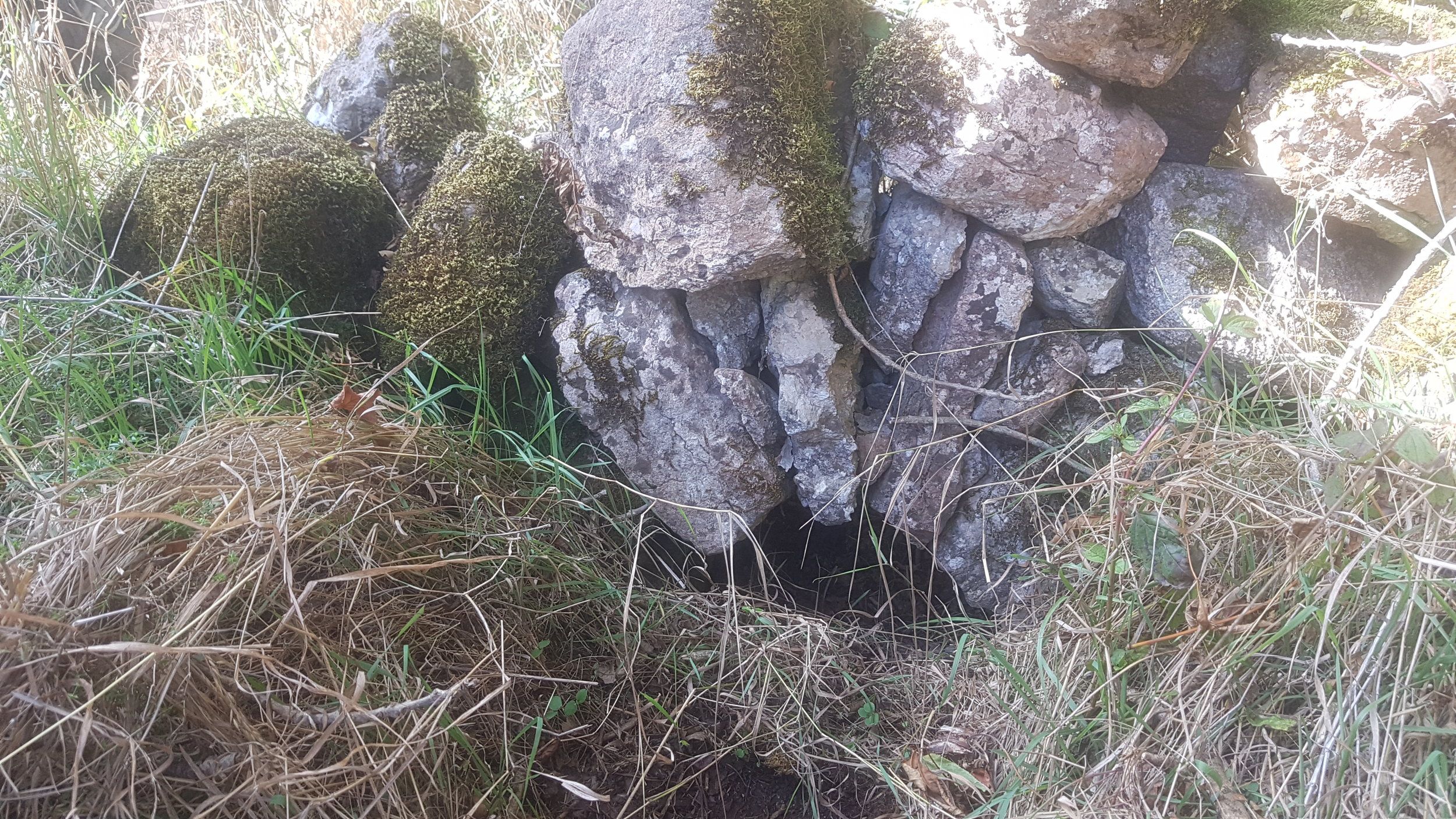 20200917_121508.jpg