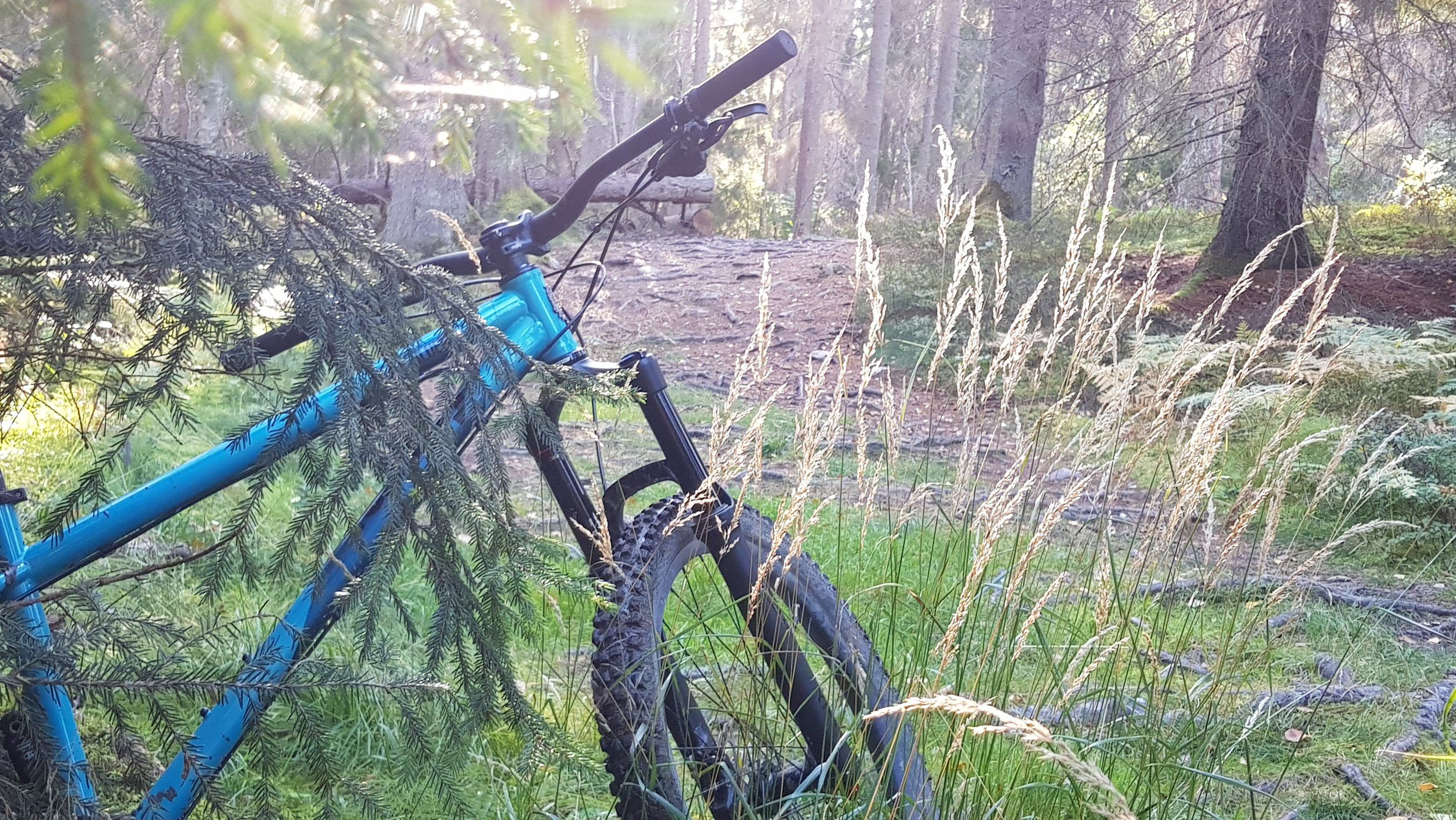 20200919_155355.jpg